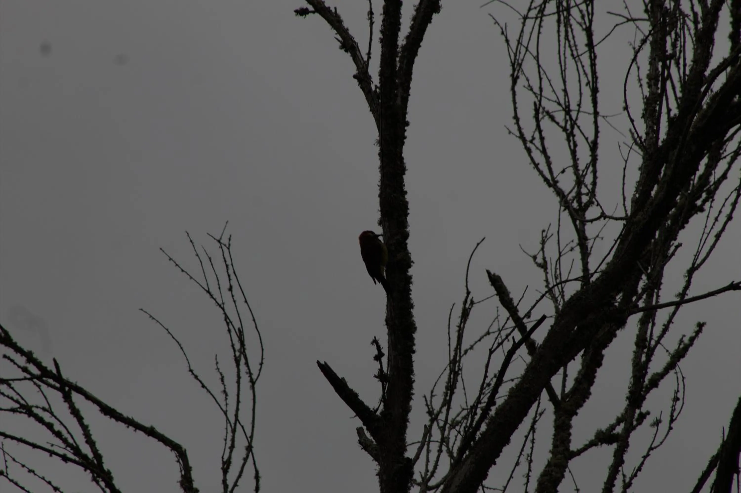 Natural landscape in Glamping San Sebastian