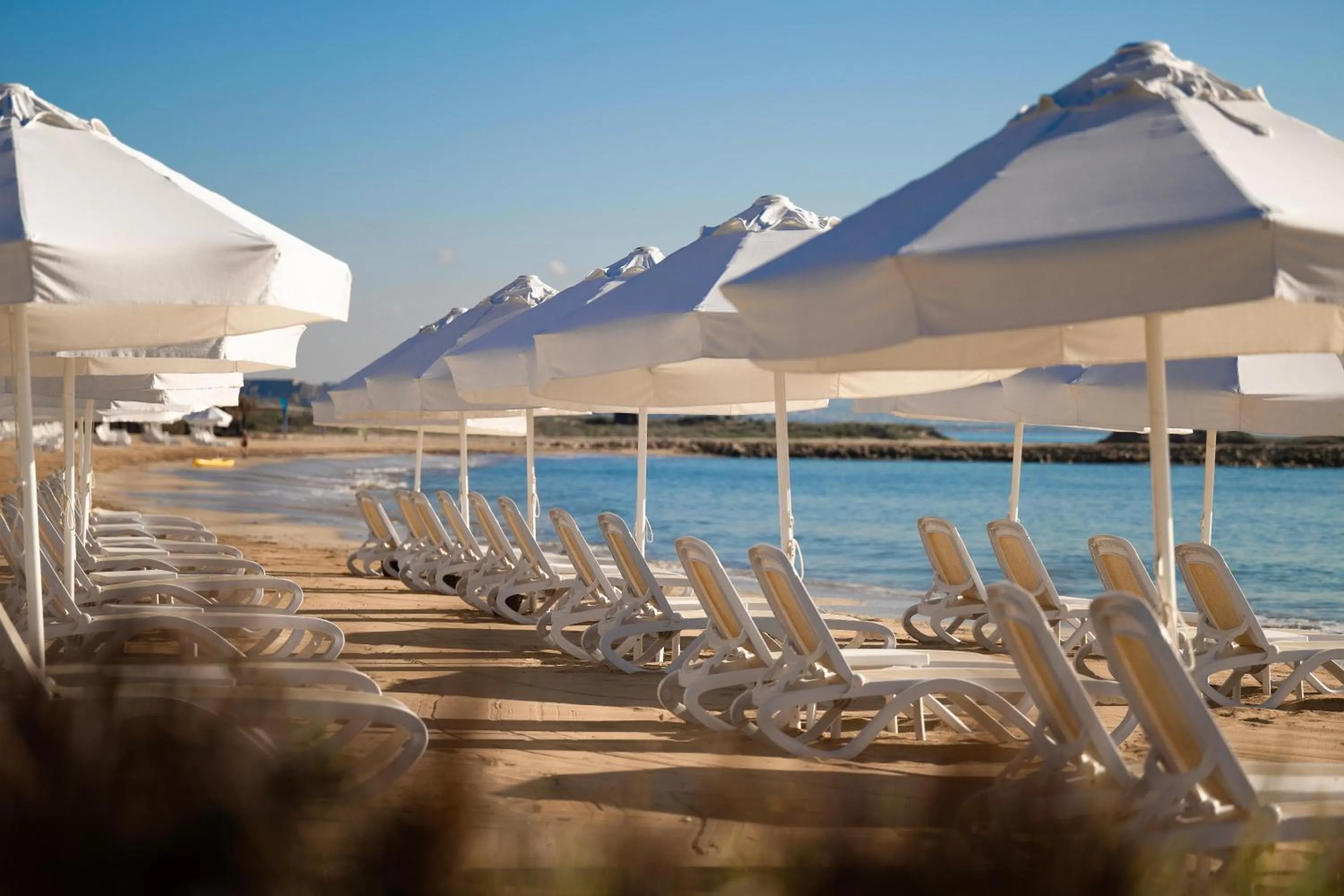 Beach in Concorde Luxury Resort & Casino