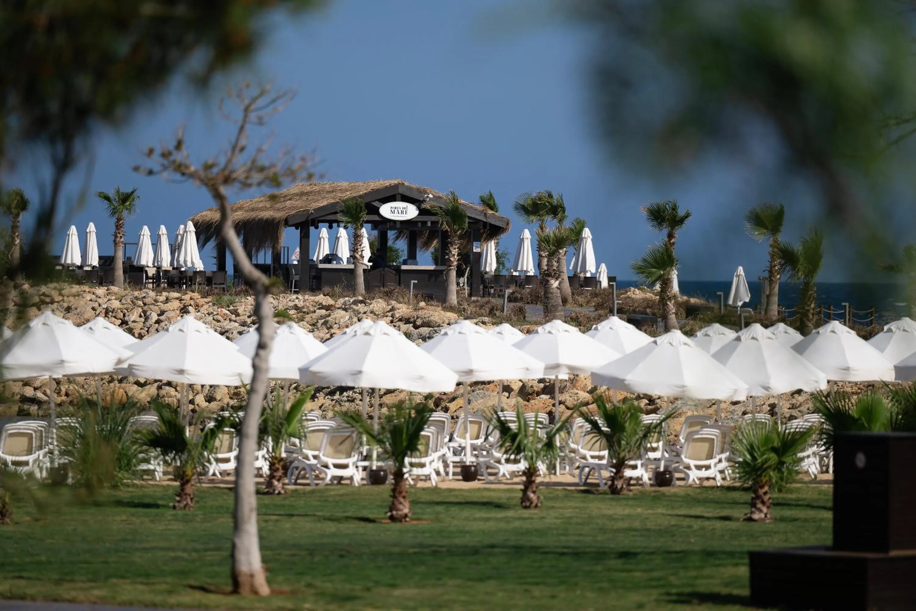 Lounge or bar in Concorde Luxury Resort & Casino