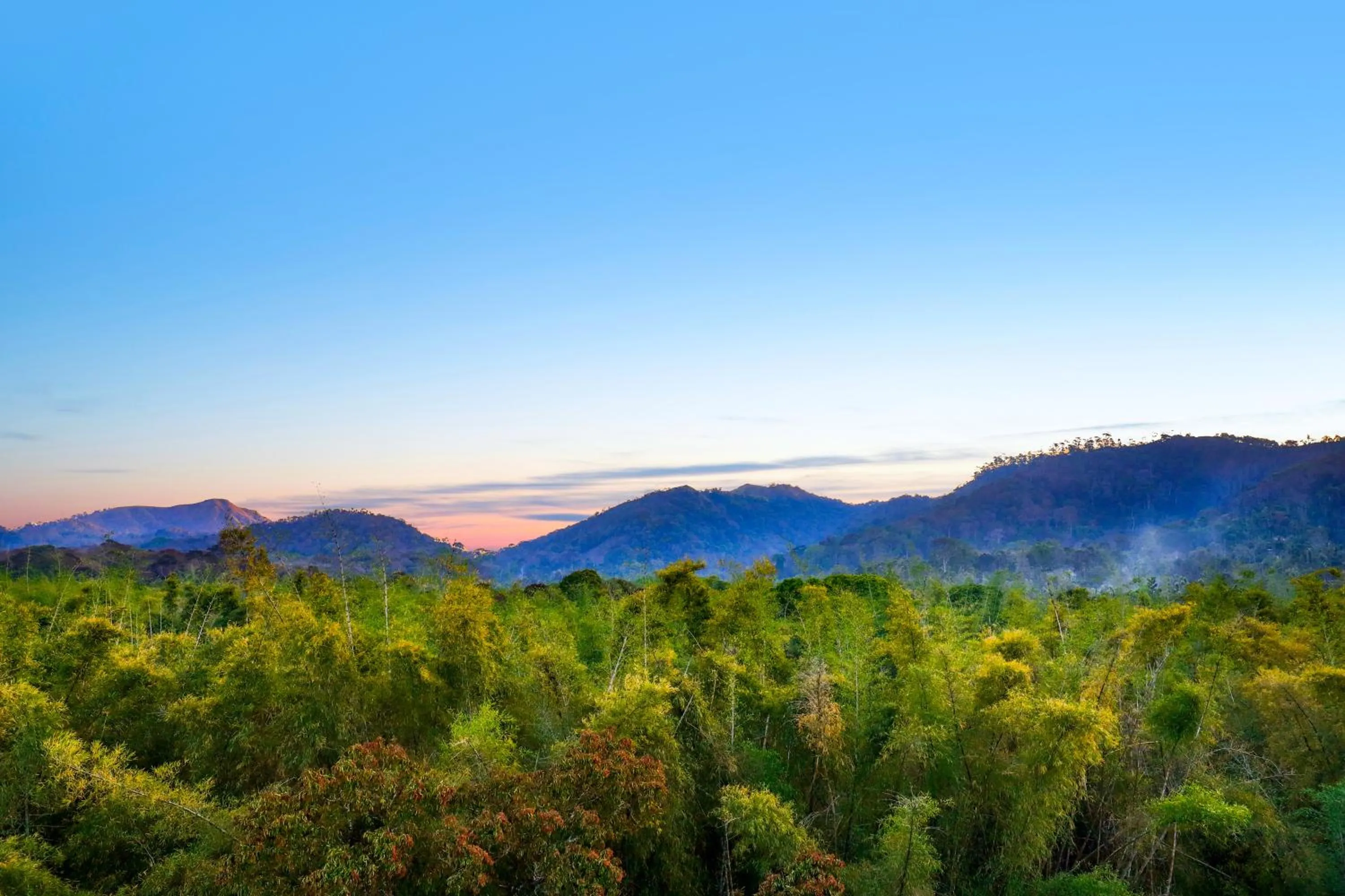 Mountain view in Keys Prima By Lemon Tree Hotels, Thekkady