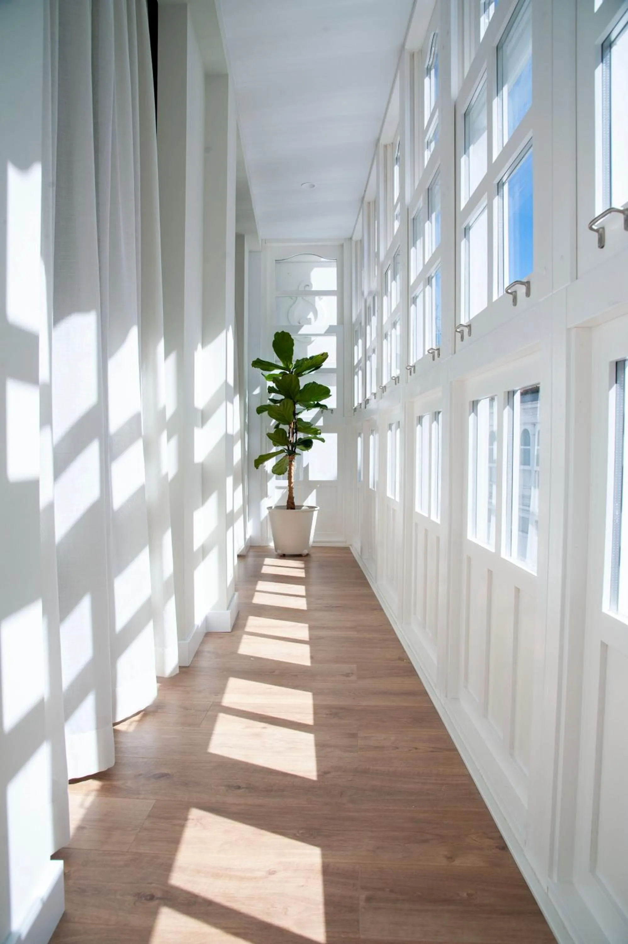 Property building in Albatros