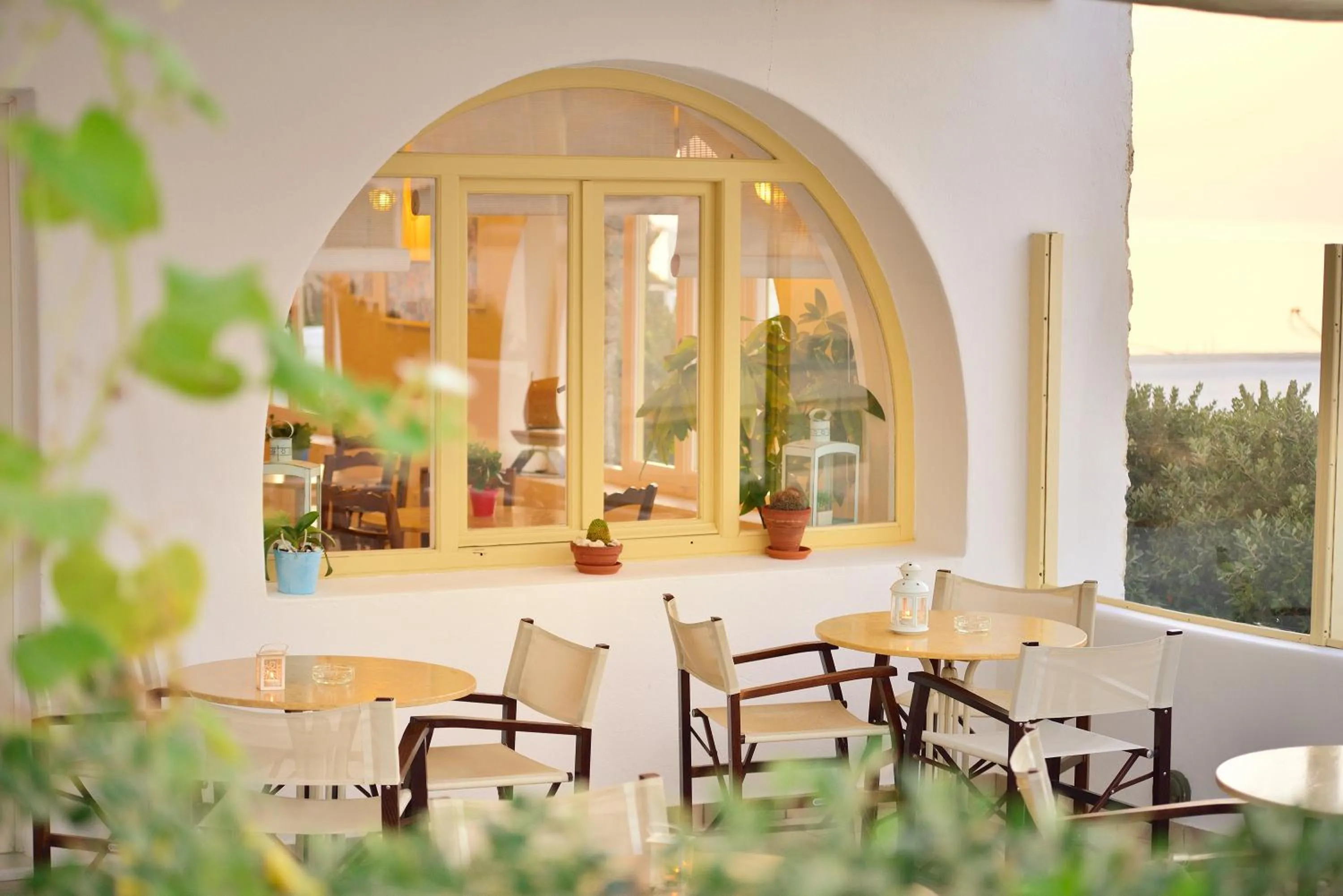 Garden in Pelican Hotel