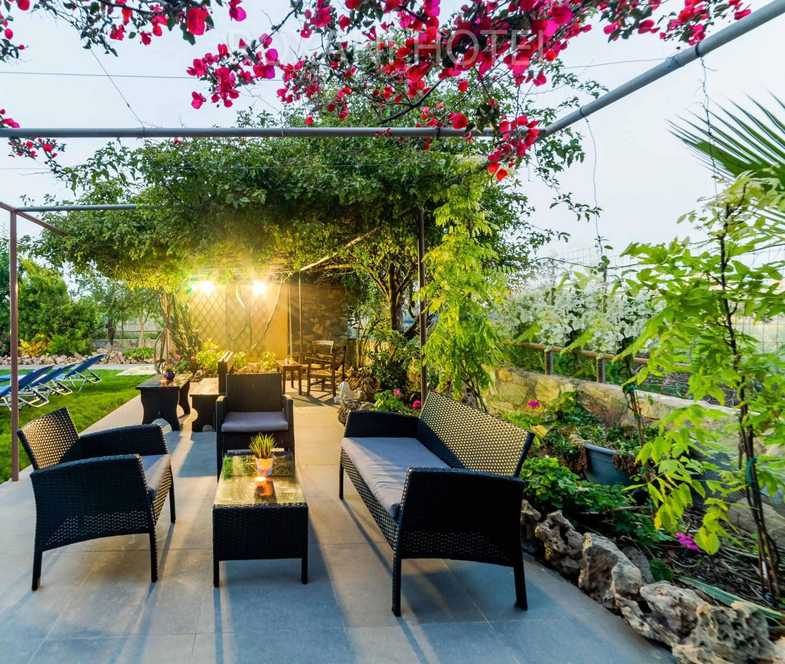 Swimming pool in Roxani Hotel