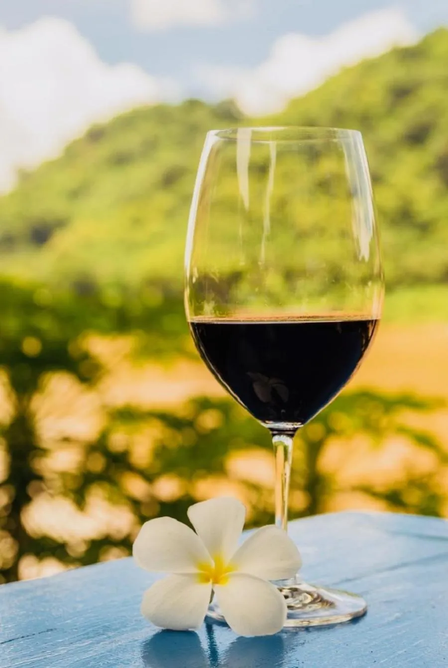 Day in Villa Alounsavath Mekong Riverside