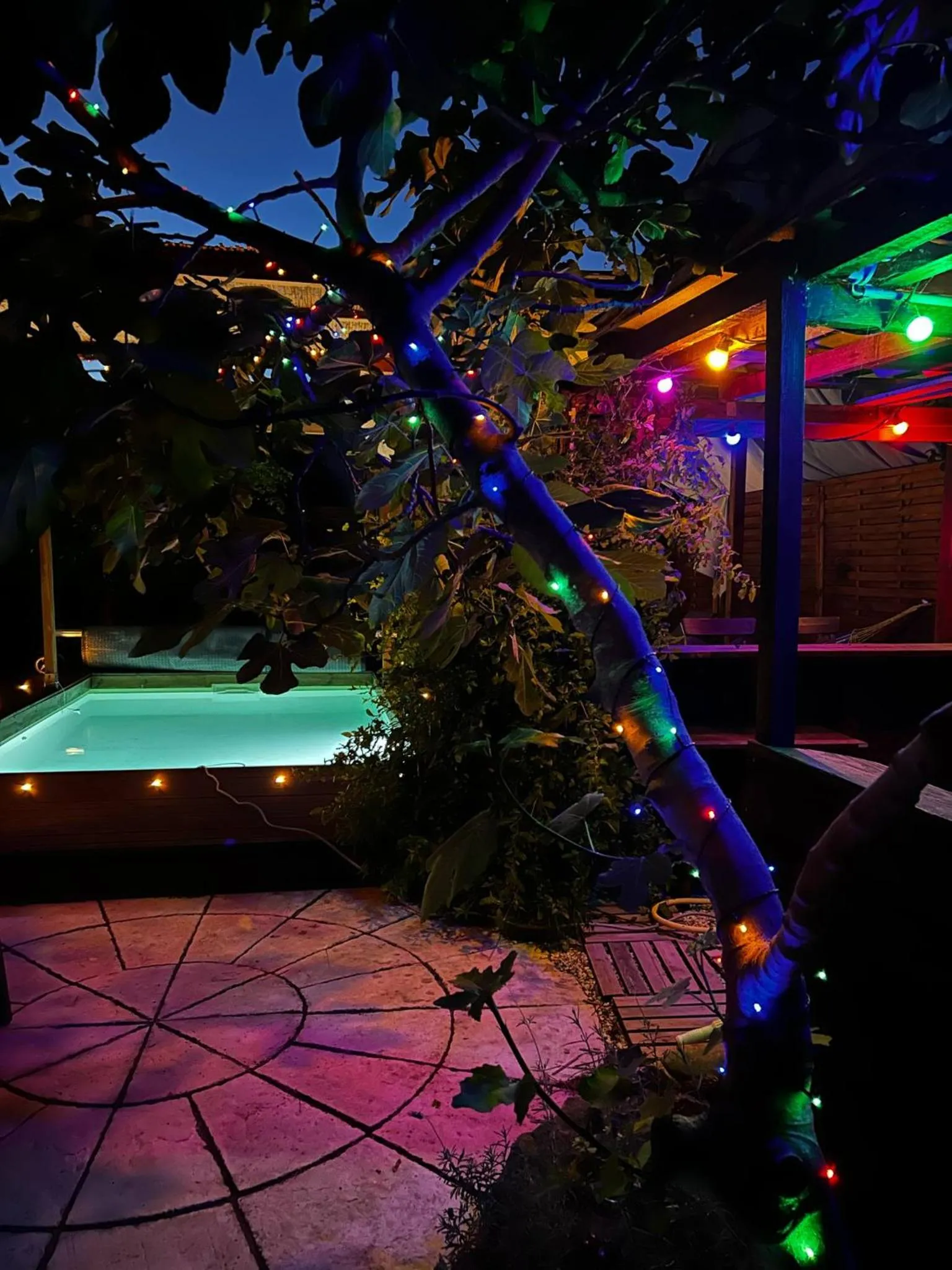 Night in Les 2 Drôles d'Oiseaux