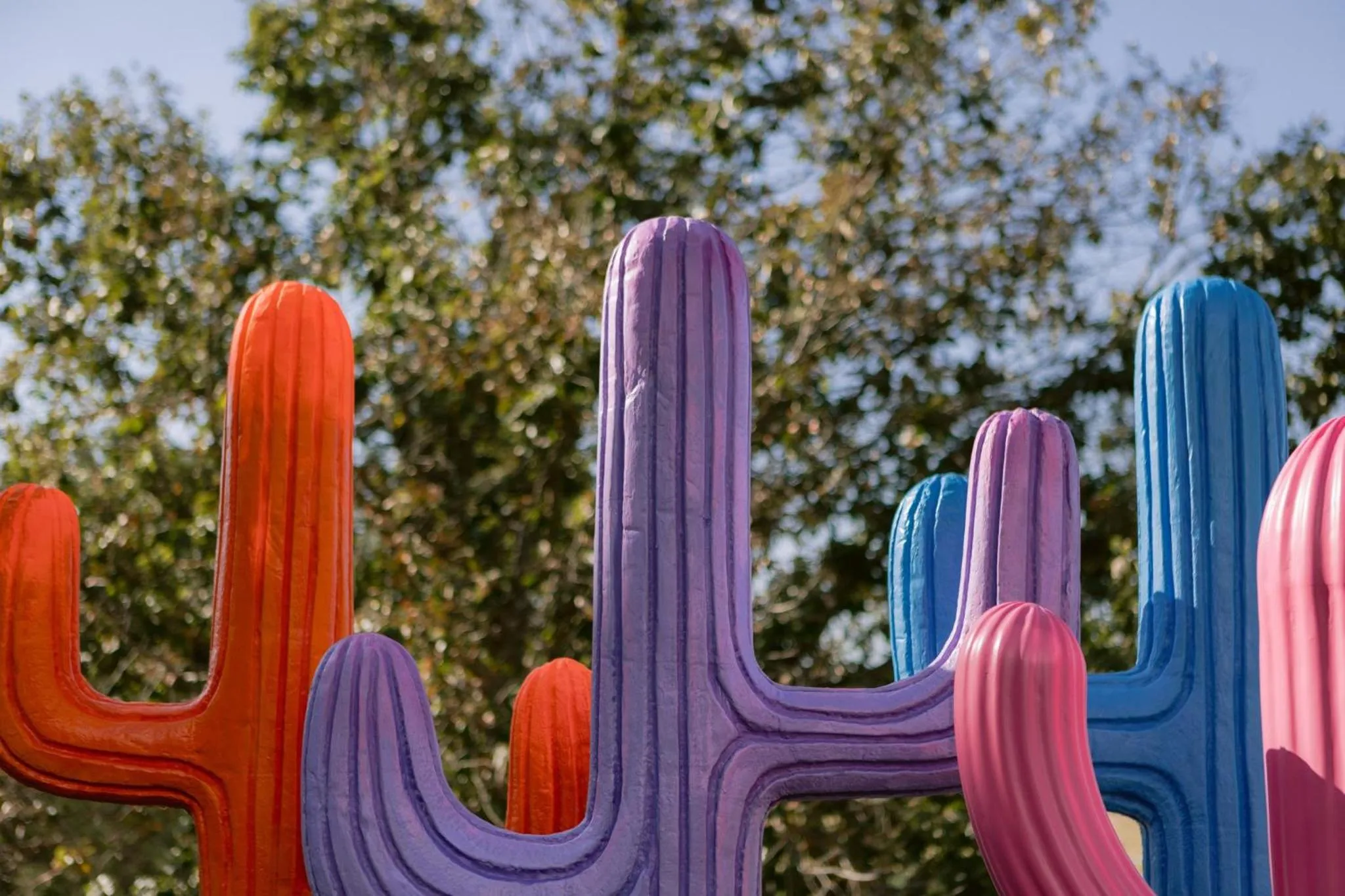 Banquet/Function facilities in Loews Arlington Hotel