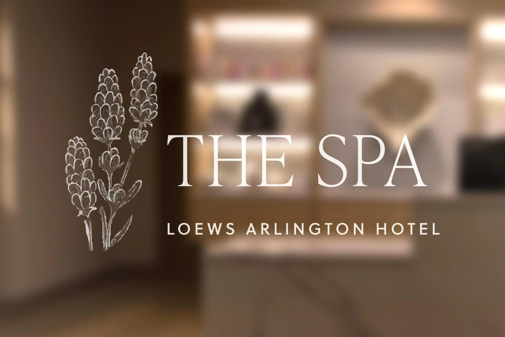 Spa and wellness centre/facilities in Loews Arlington Hotel