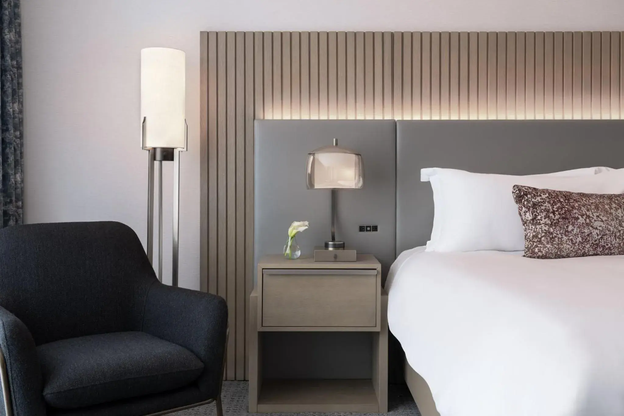 Luxury King in Loews Arlington Hotel Luxury King in Loews Arlington Hotel