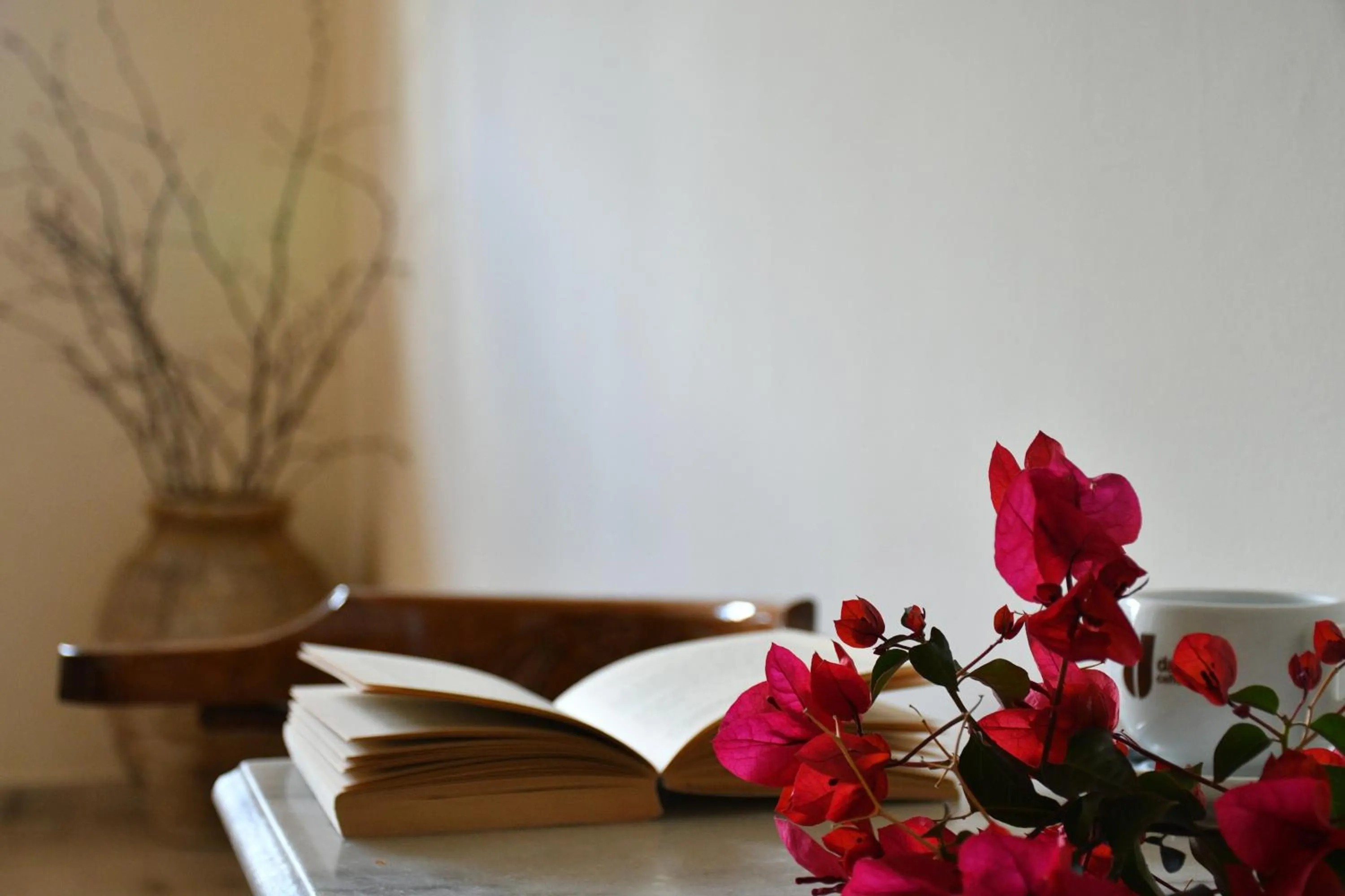 Balcony/Terrace in Hotel Hercules