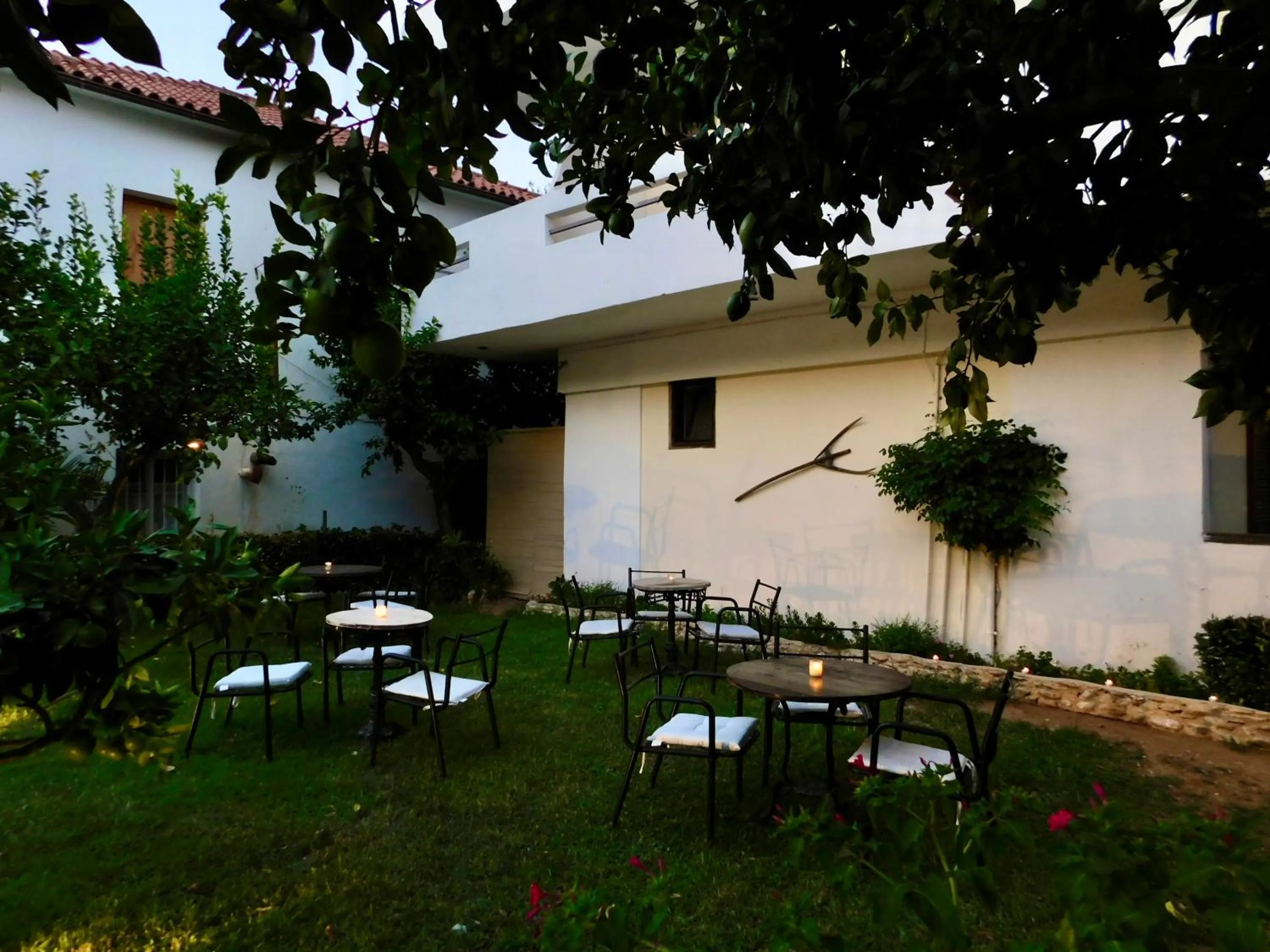 Garden in Hotel Hercules