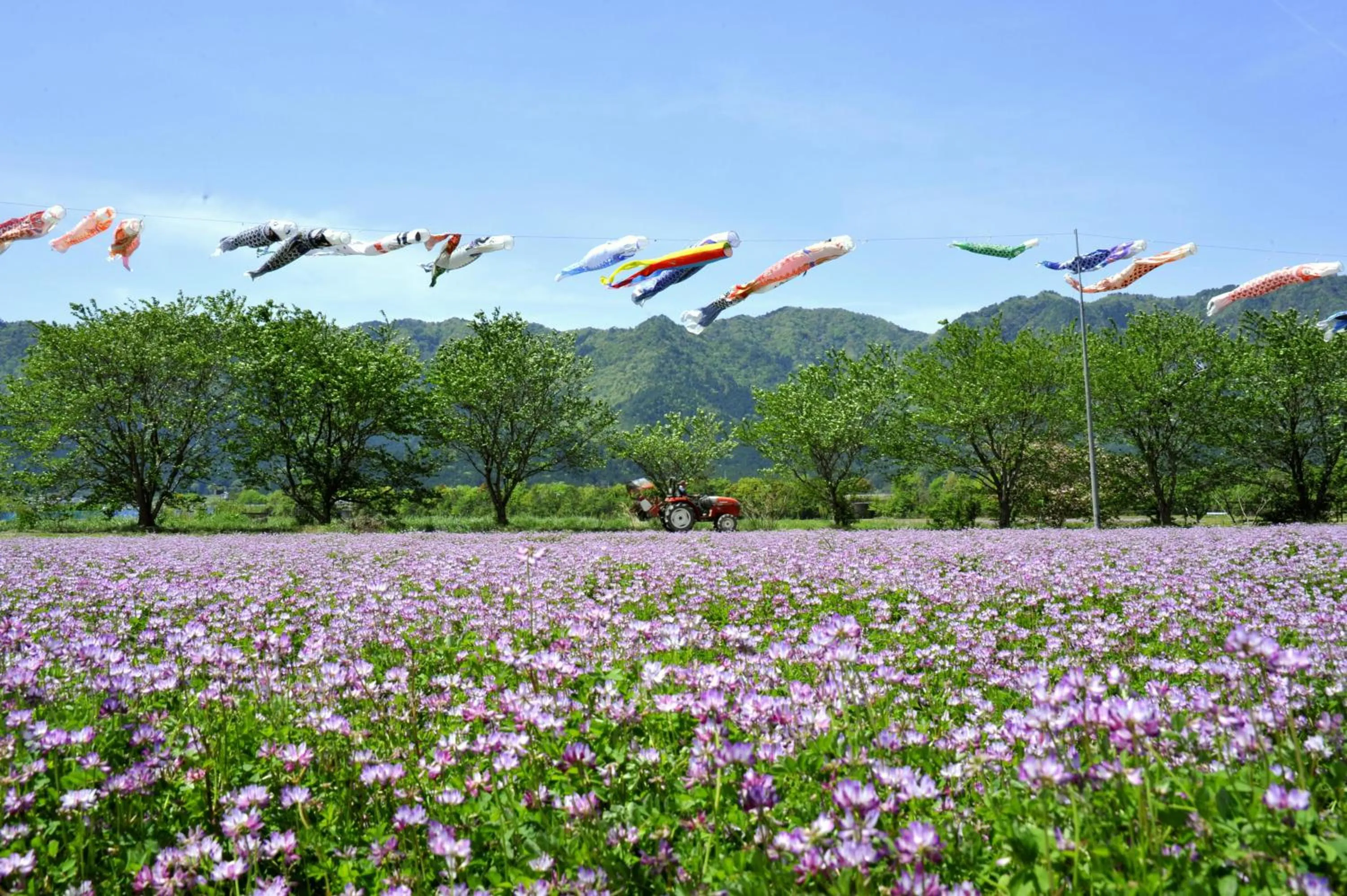 Off site in Satoyama Hotel Kanenone Tamba