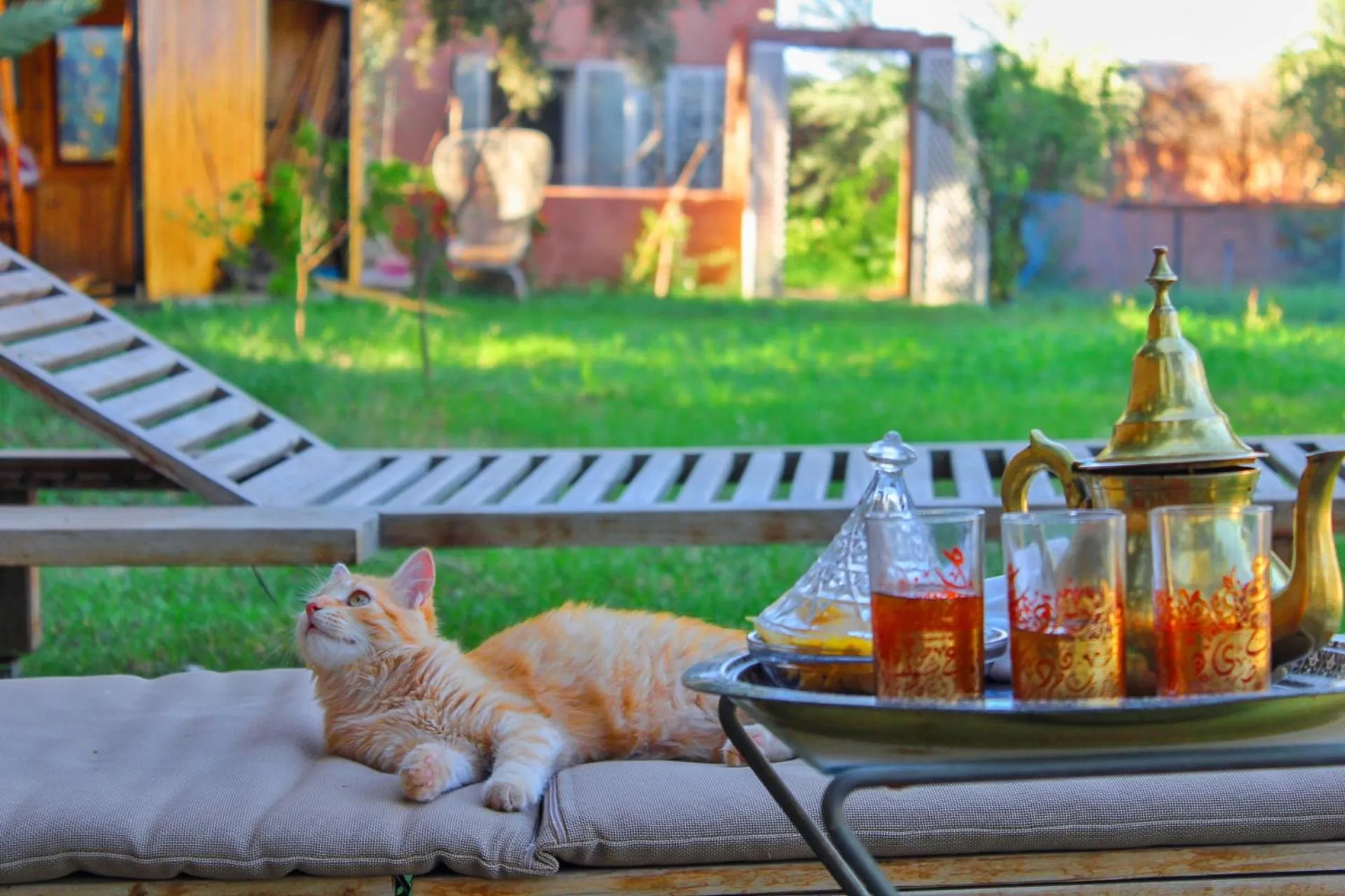 Day in Riad salix d'agafay