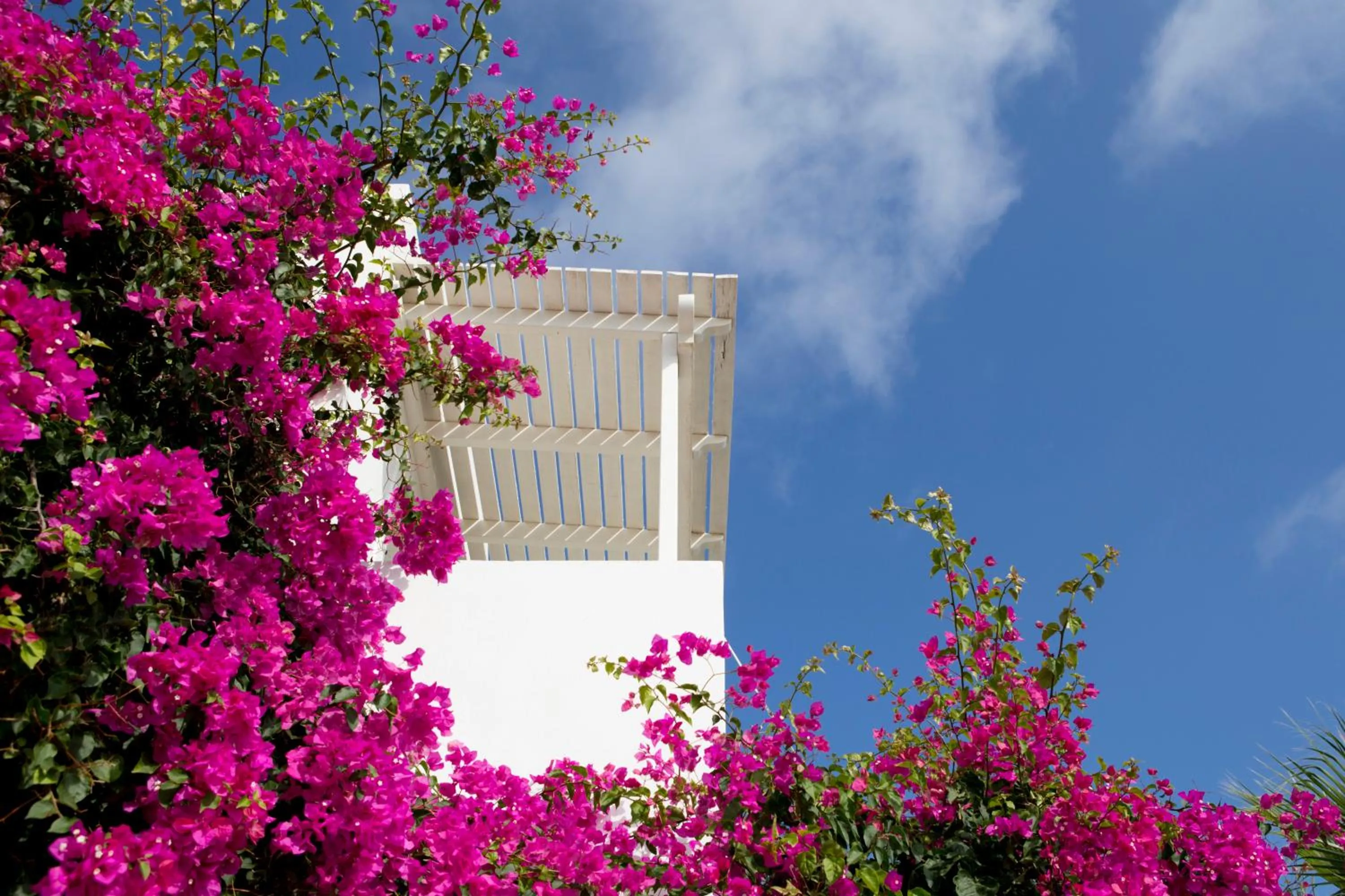 Property building in Meli Meli