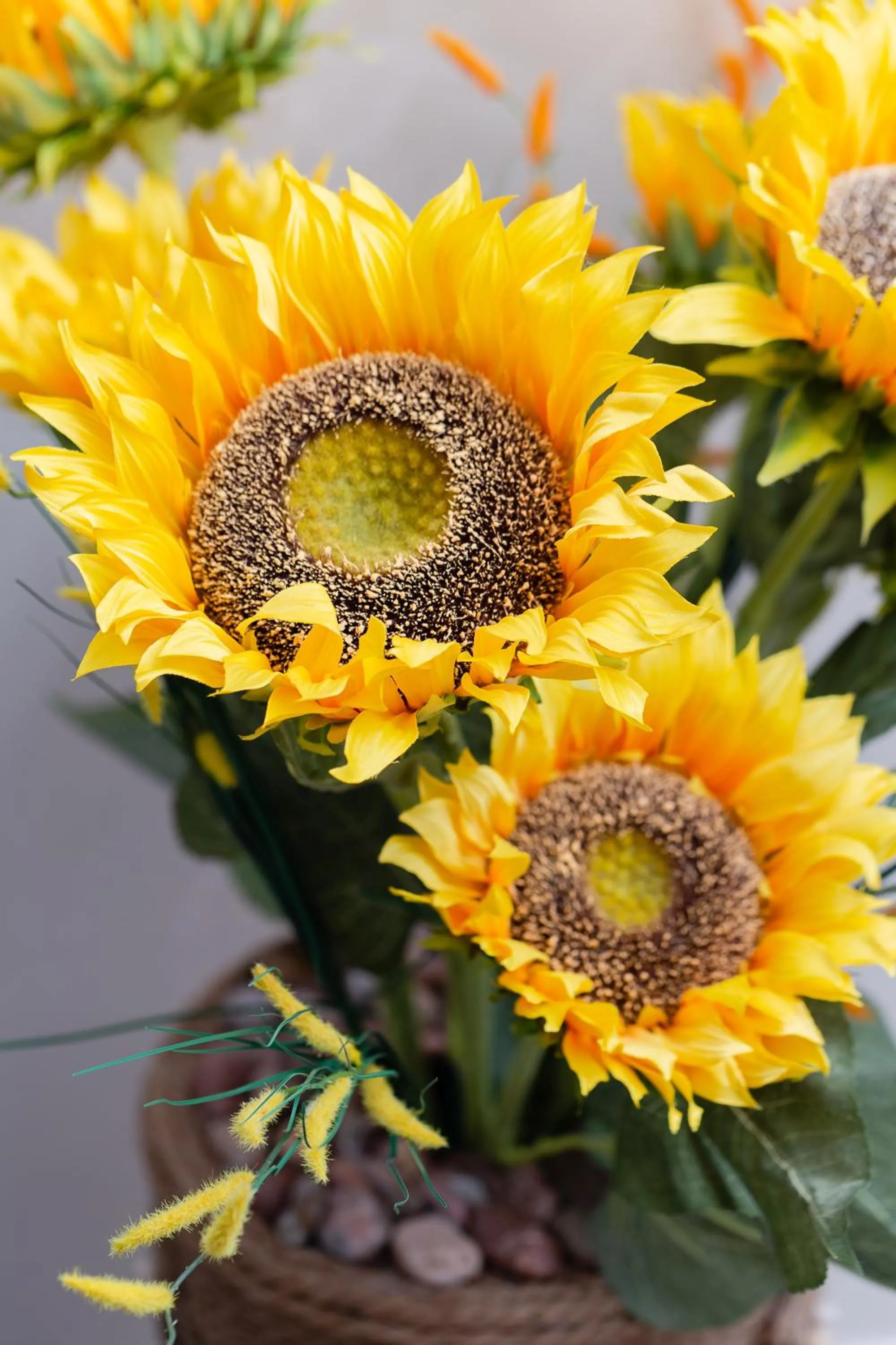 Affittacamere Alessia