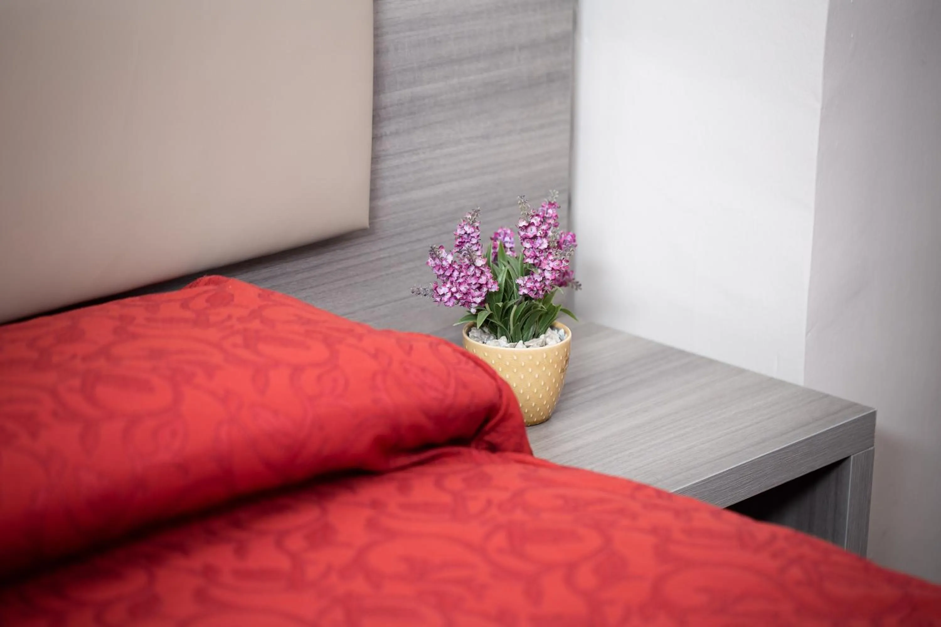 Bed in Affittacamere Alessia