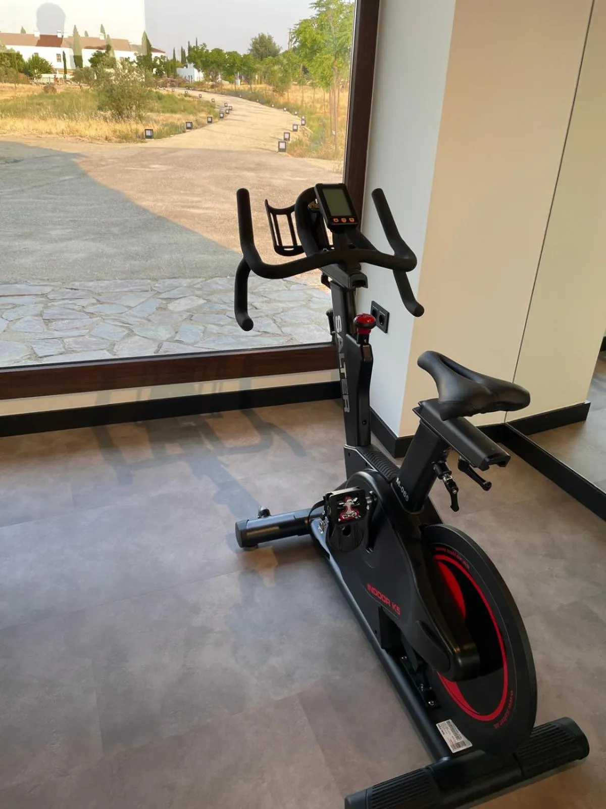 Fitness centre/facilities in Hospes Palacio de Arenales & Spa