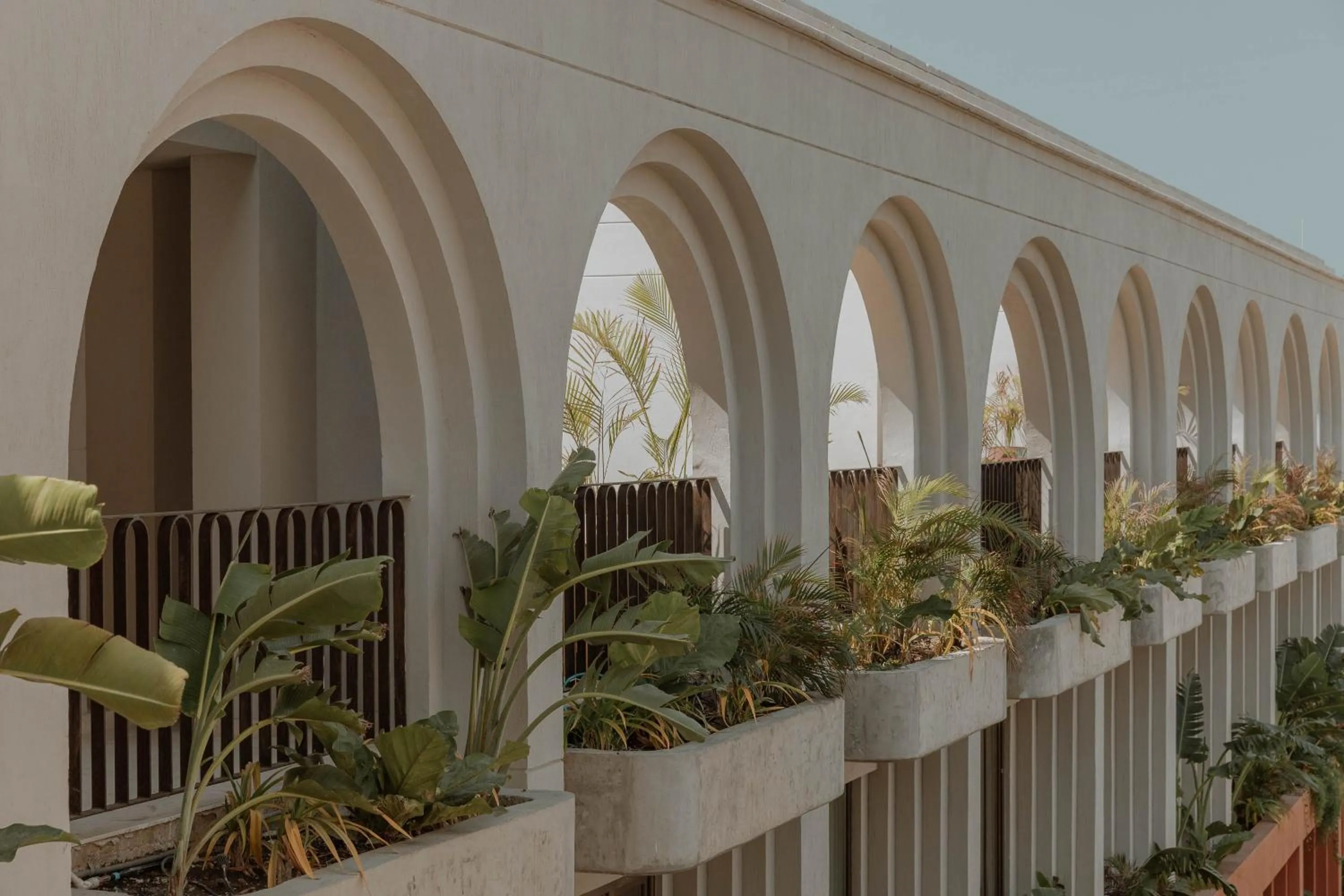 Garden in Osh Hotel Cartagena