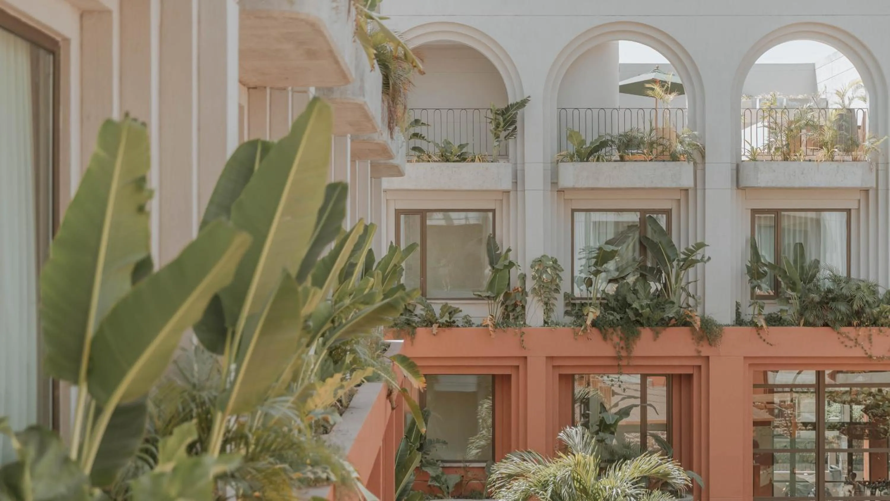 Garden in Osh Hotel Cartagena