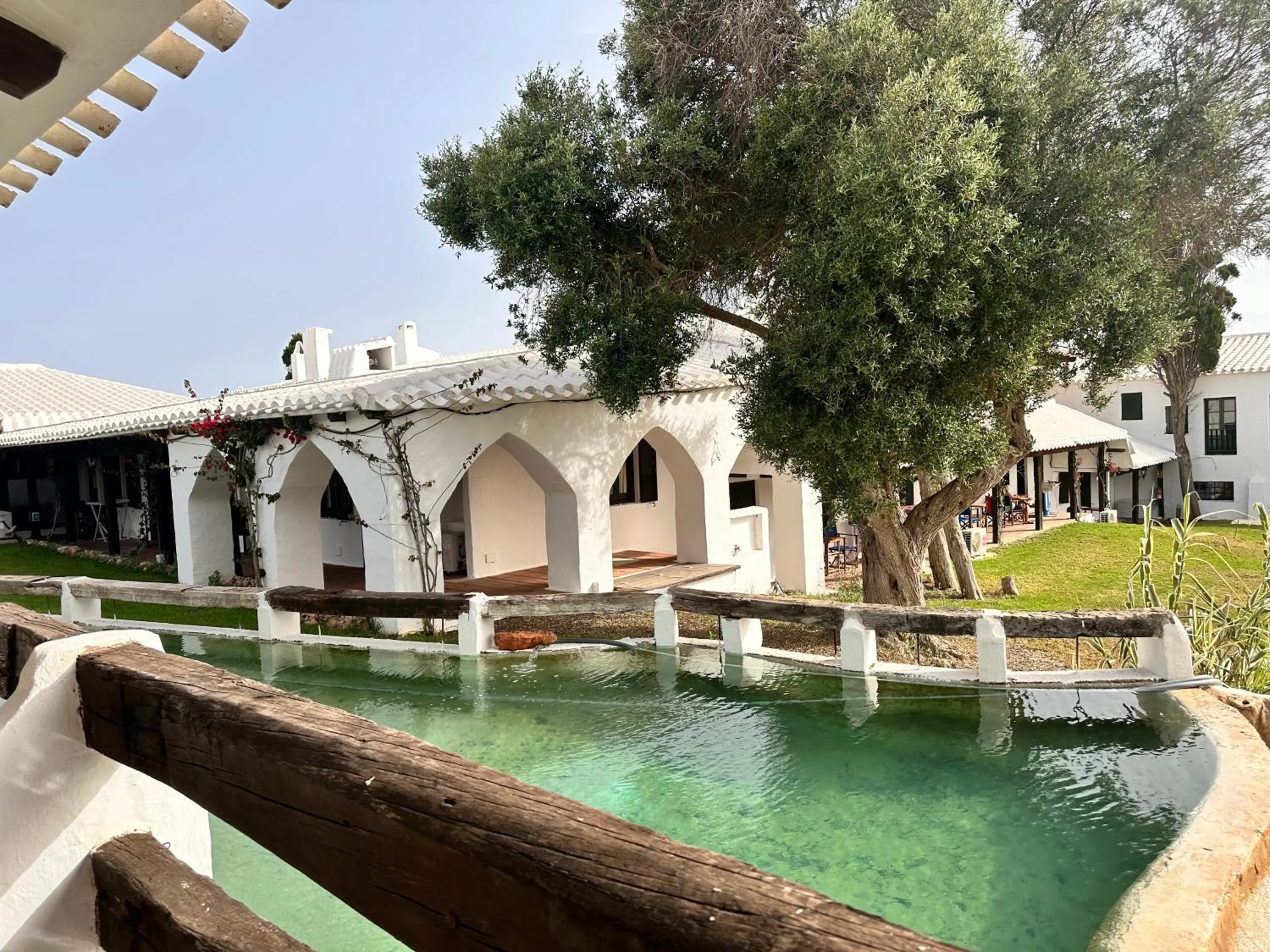 Garden in Binivell Park - 30º apartments