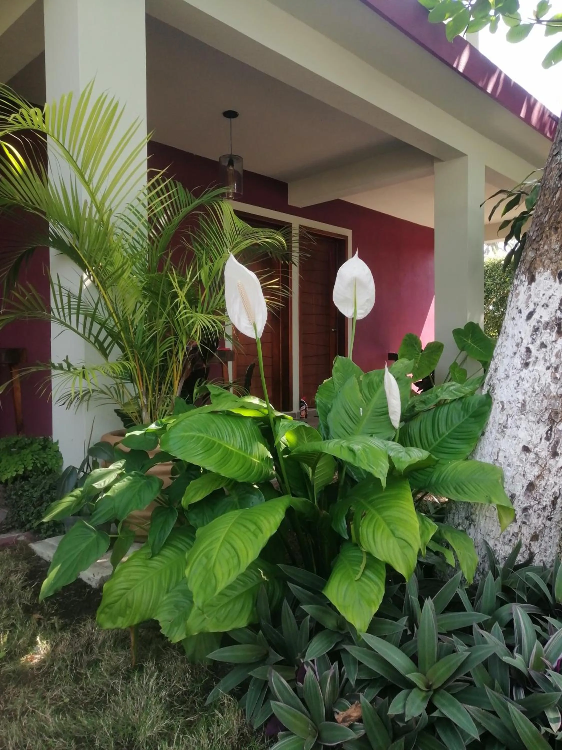 Garden in La Morada, una ventana al golfo - Hotel boutique