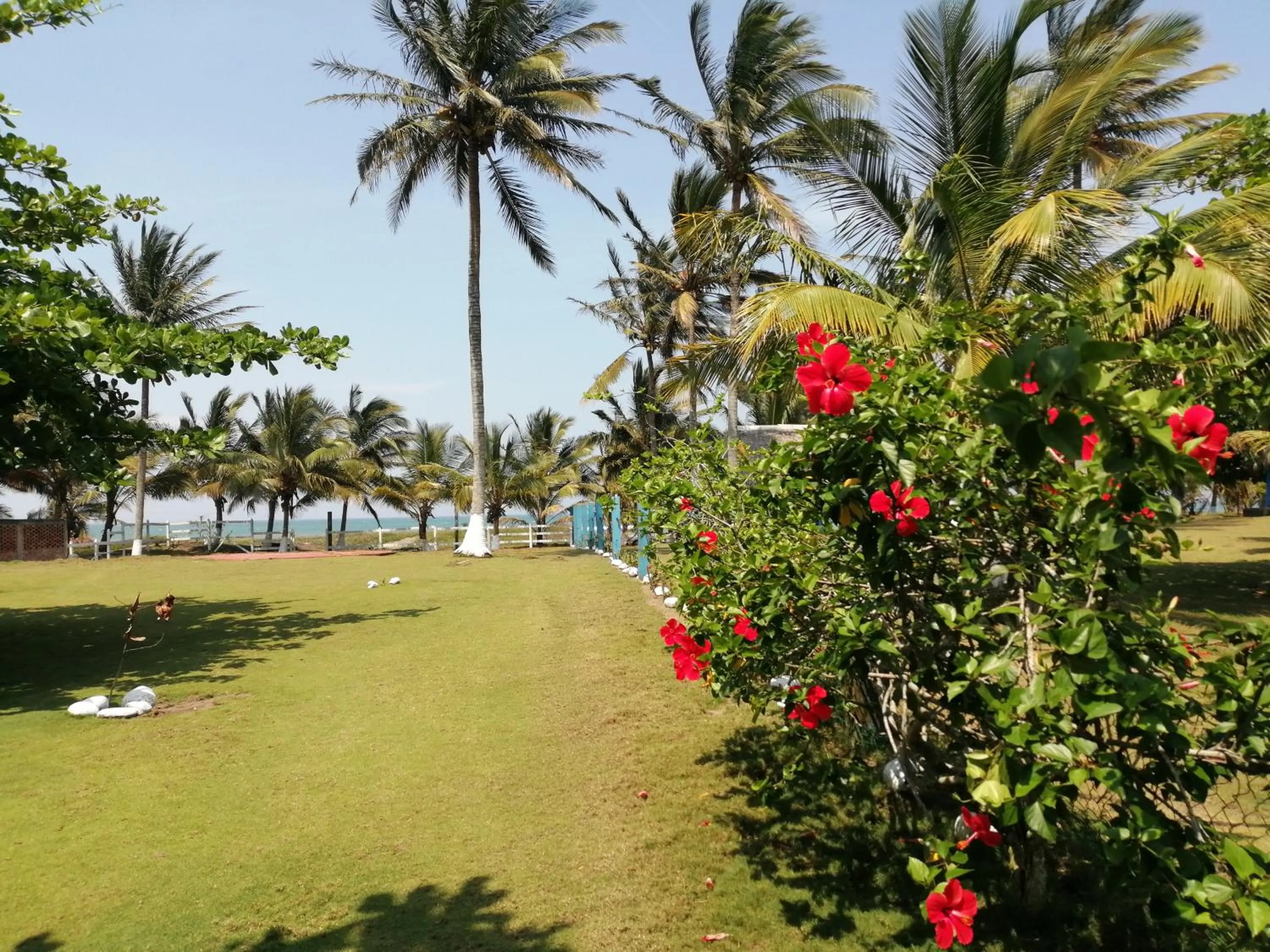 Garden in La Morada, una ventana al golfo - Hotel boutique