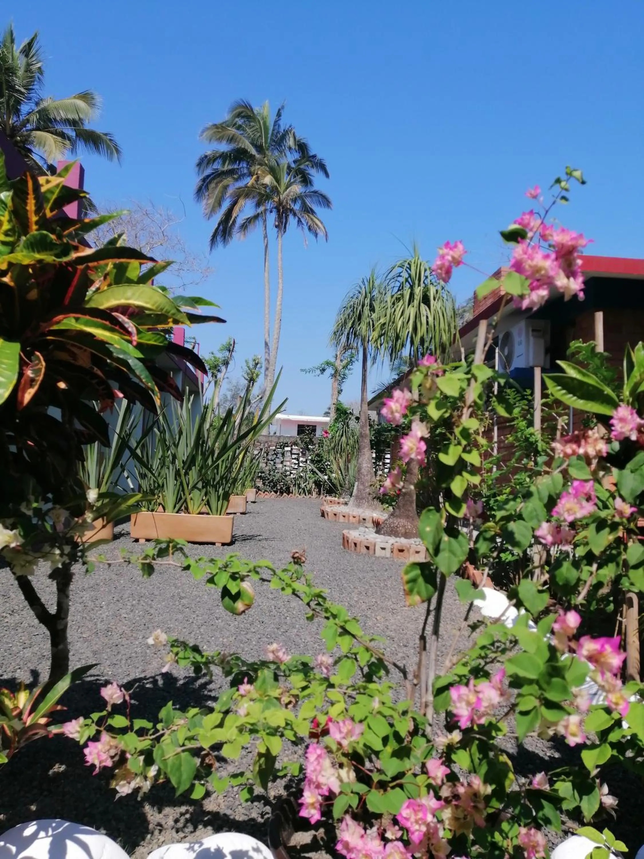 Patio in La Morada, una ventana al golfo - Hotel boutique