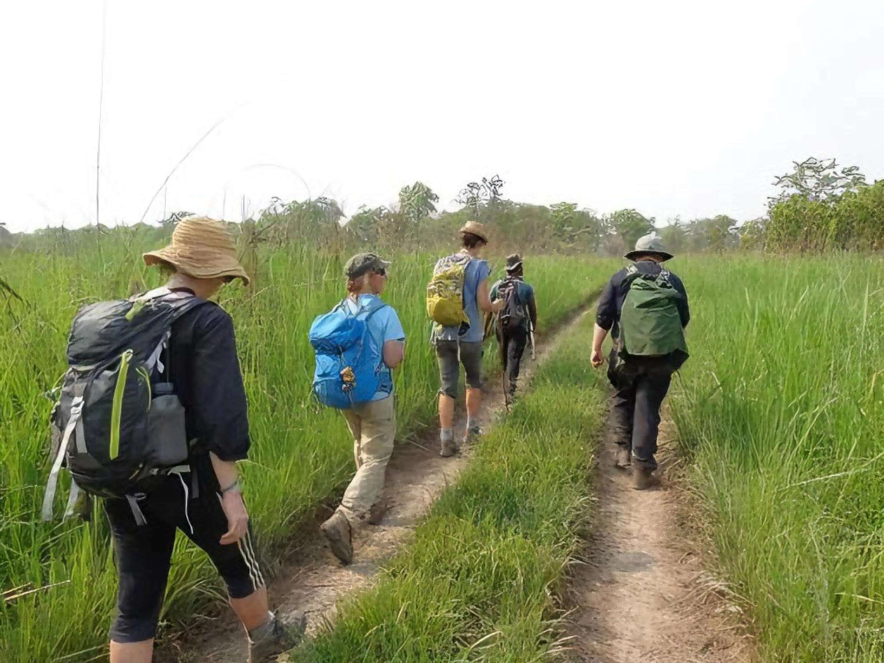 Activities in Hotel Nepal Inn Sauraha