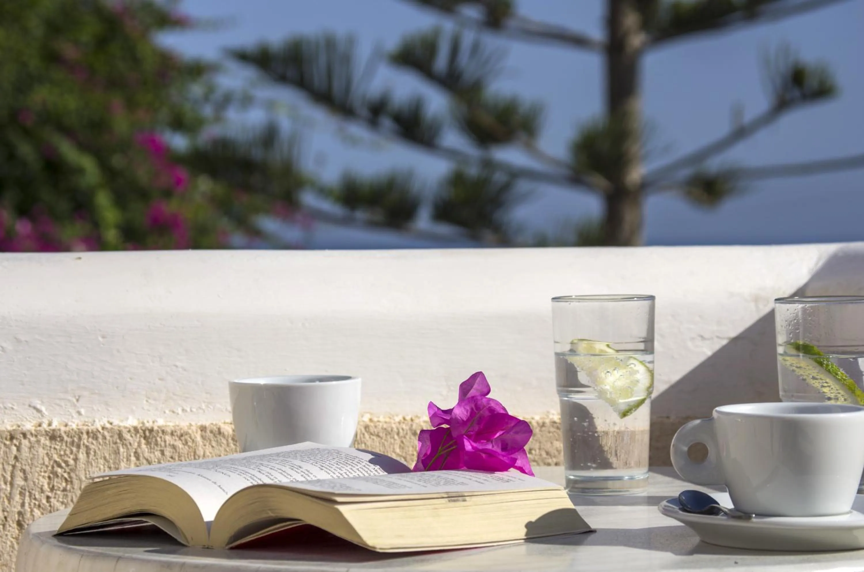 Balcony/Terrace in Paradise Resort