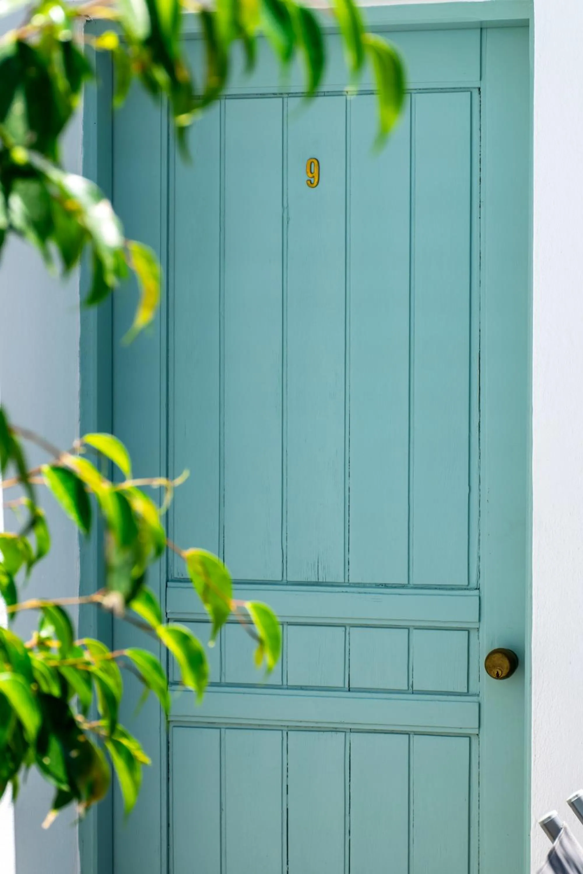 Property building in Kurmulis Studios