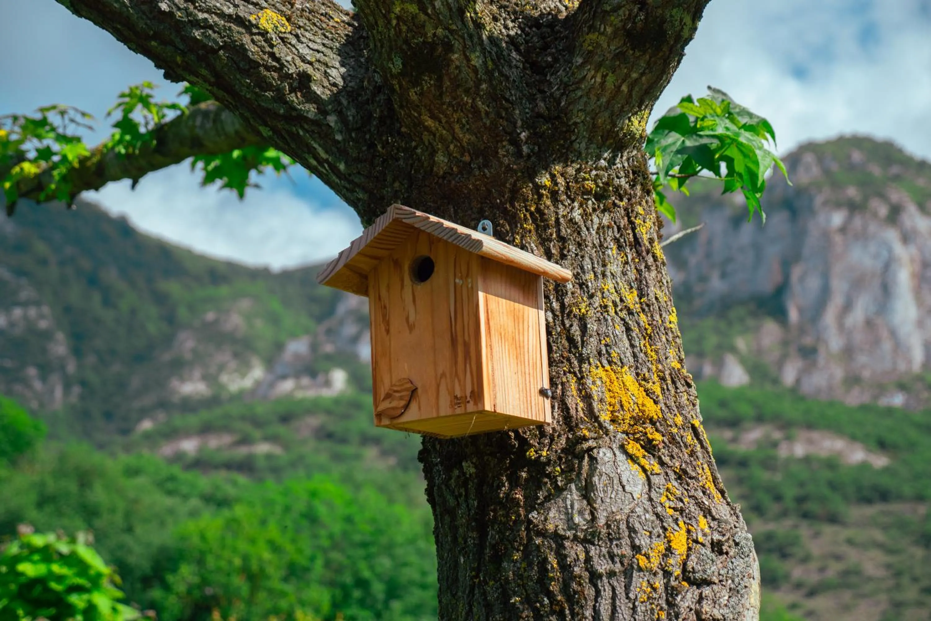 Camping écovillage Soleil du Pibeste