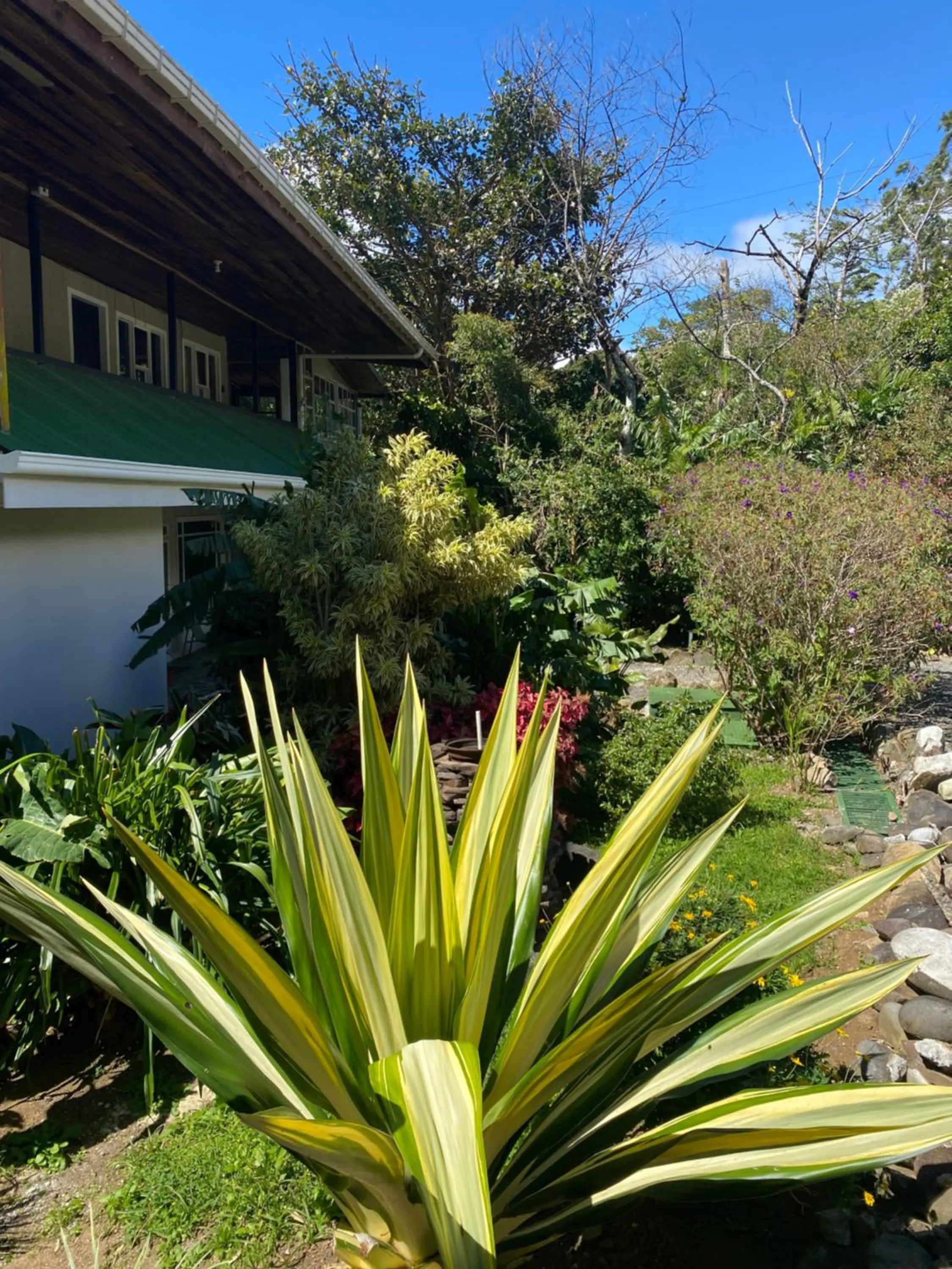 Garden in Natüra Hotel Monteverde