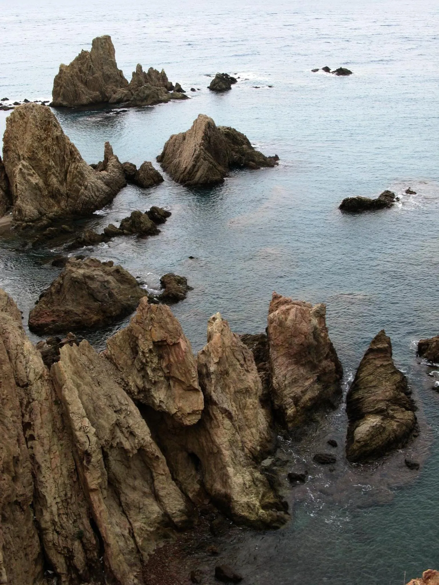 Area and facilities in Hostal Las Gaviotas del Cabo