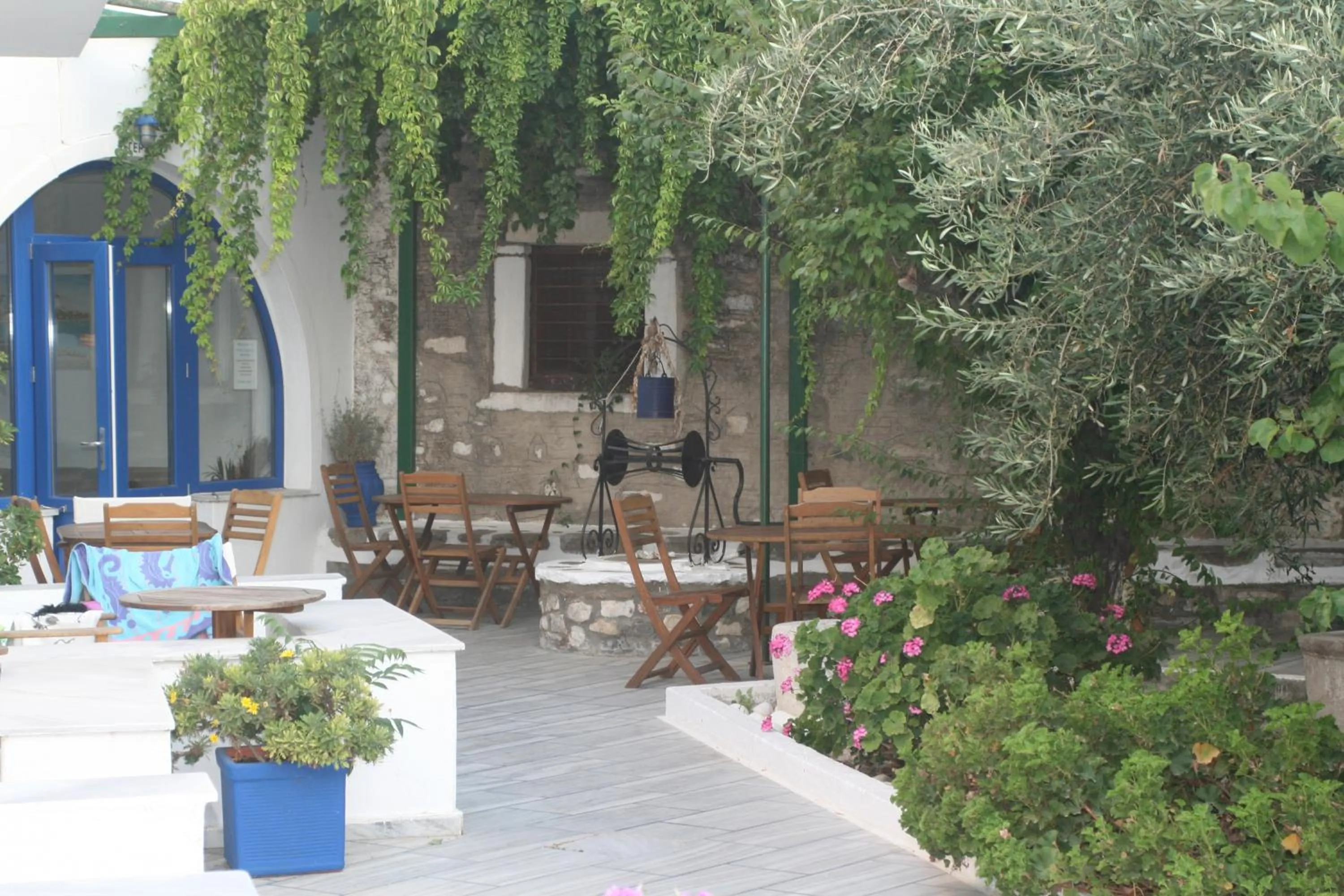 Garden in Captain Manolis