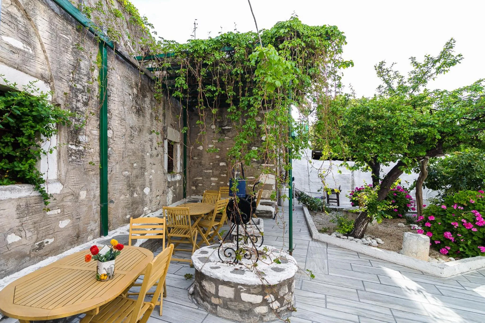 Garden in Captain Manolis