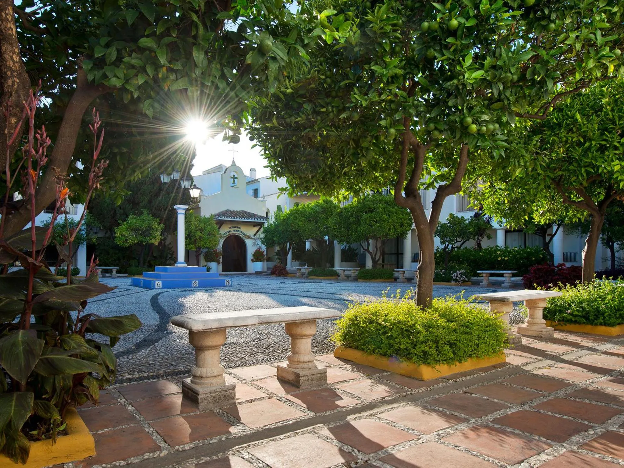Garden in BlueBay Banús