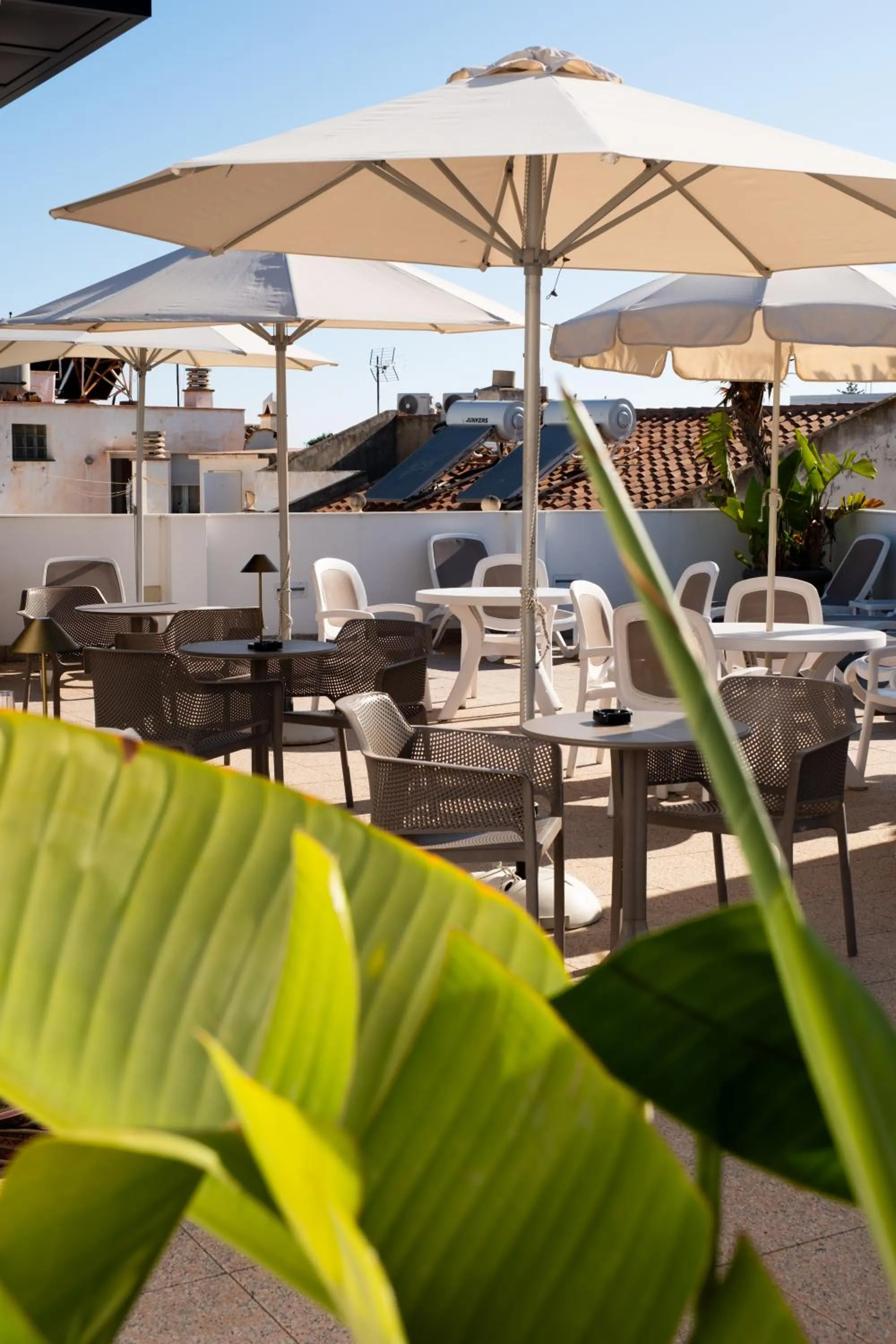 Lounge or bar in Hotel Puerta del Mar - Adults Recommended