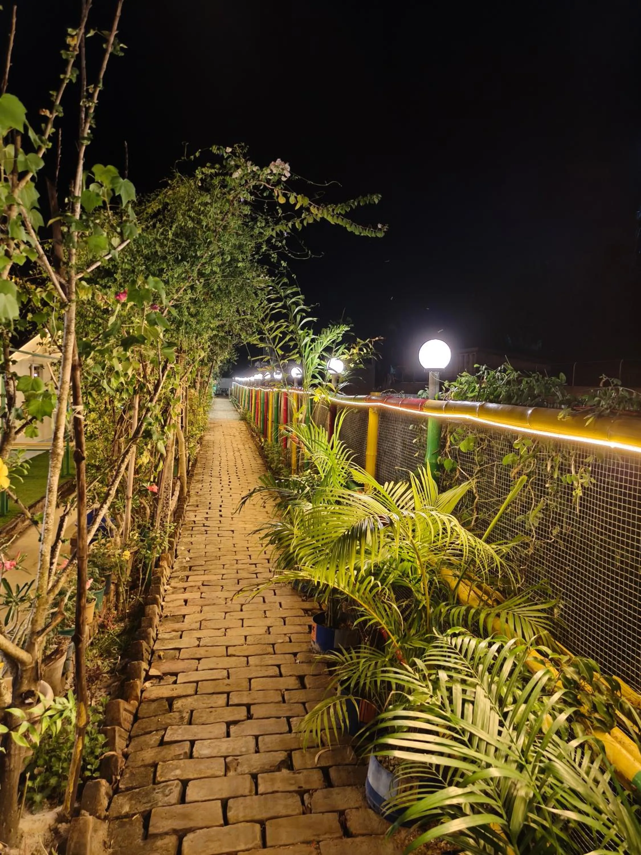 Night in Tapama Resort Bakkhali