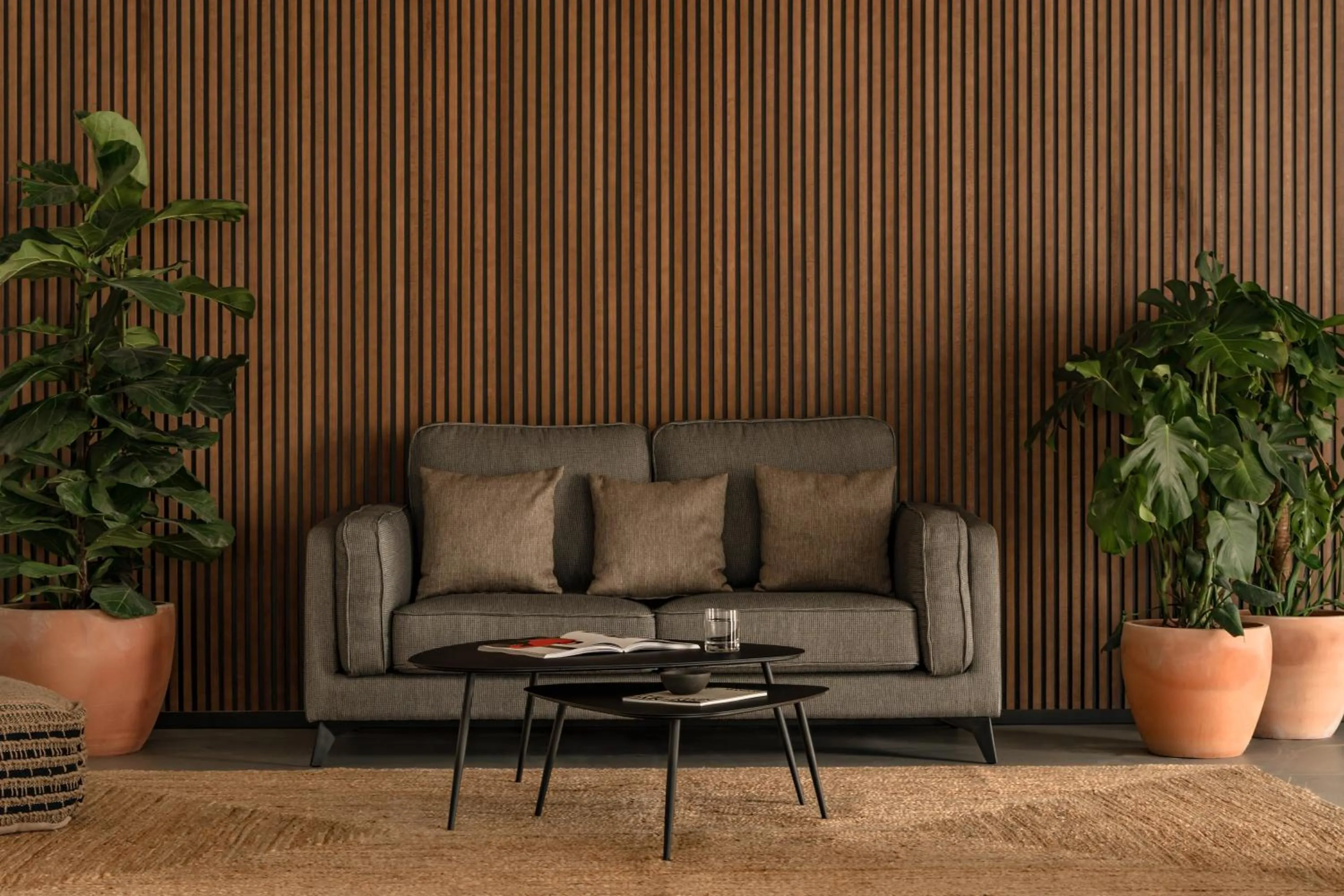 Area and facilities in Caramelo Calvia Beach - Adults Only