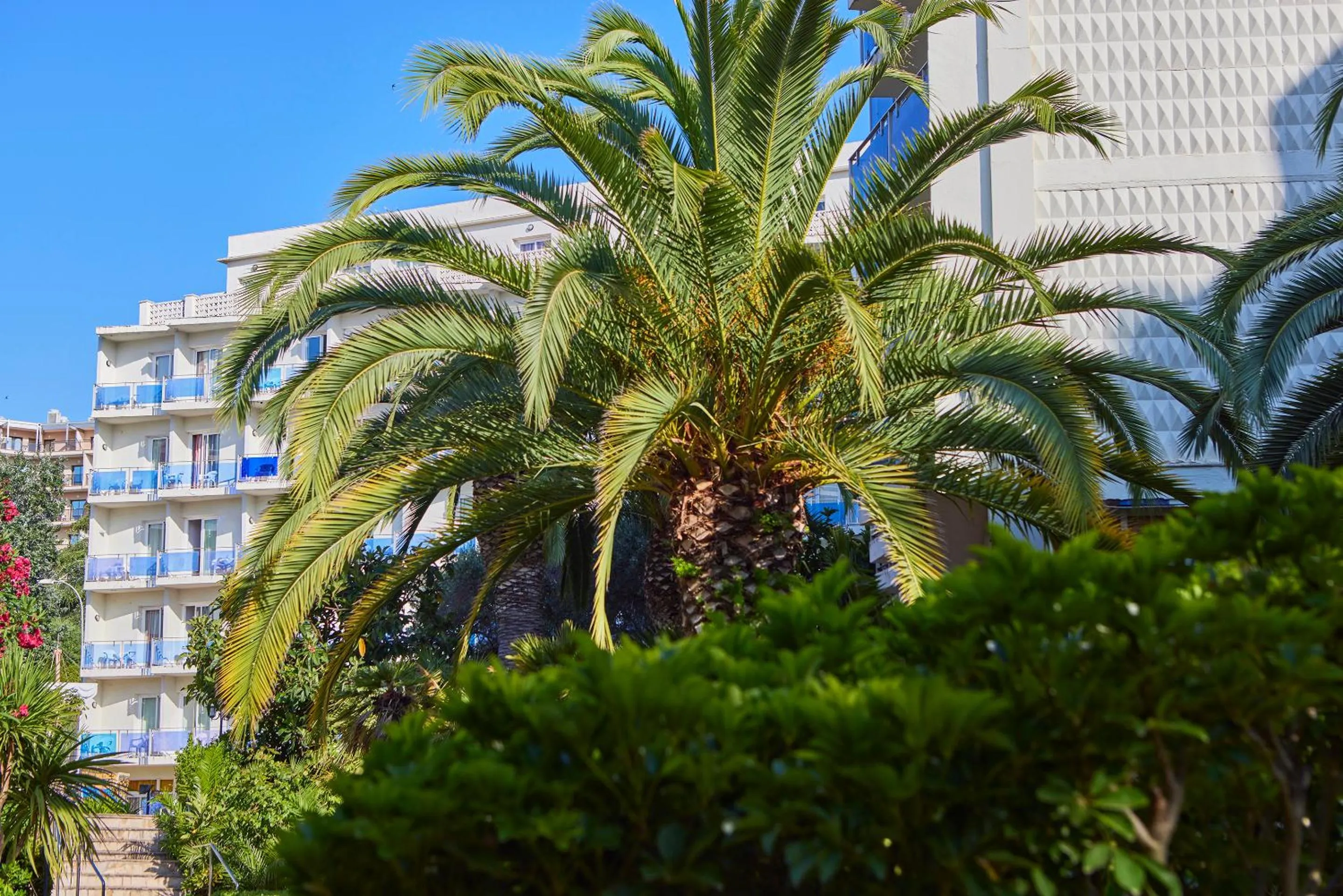 Property building in Ona Don Juan