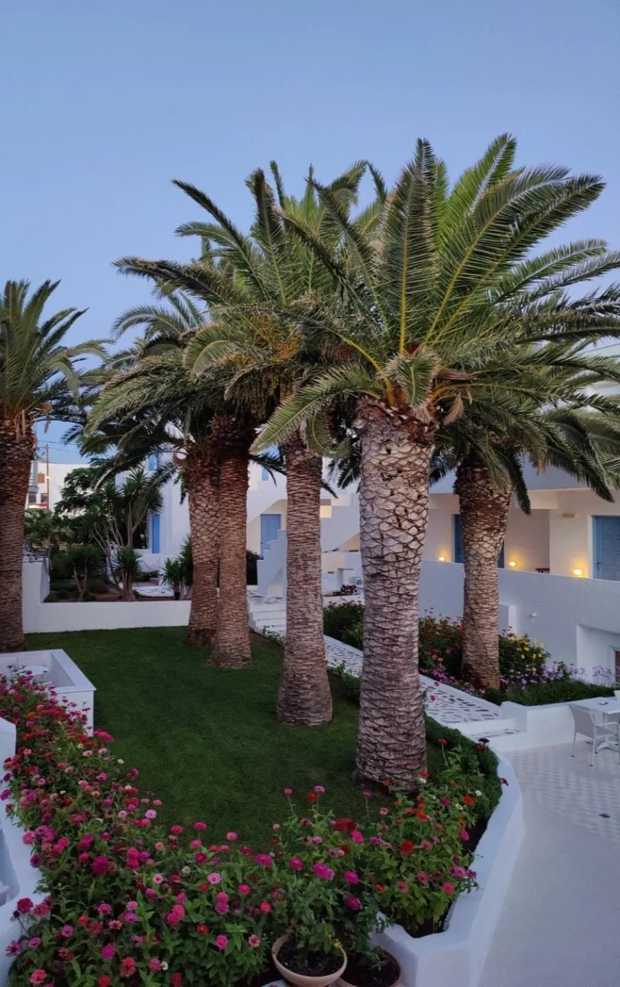Garden in Hotel Sagterra