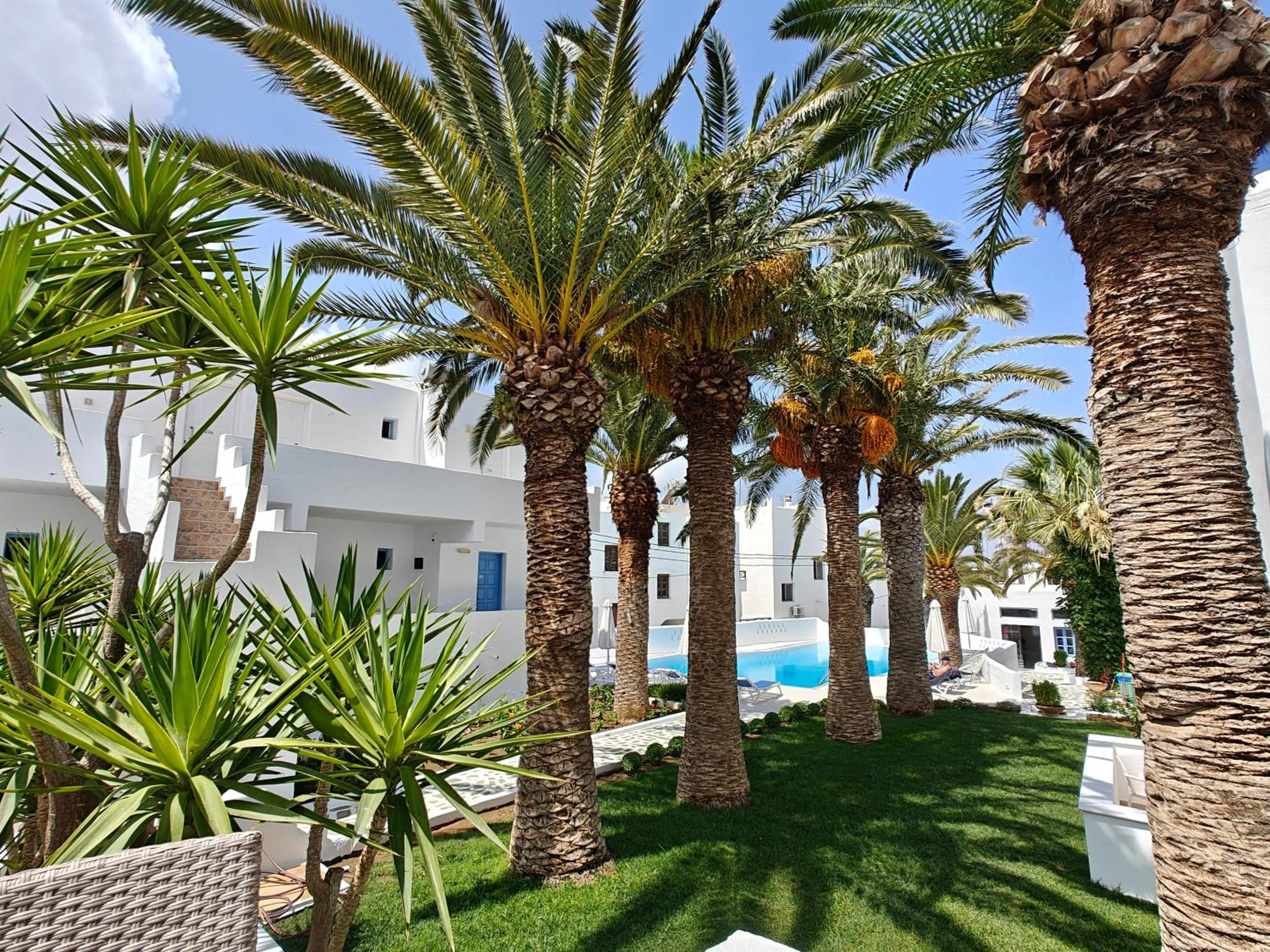 Garden view in Hotel Sagterra