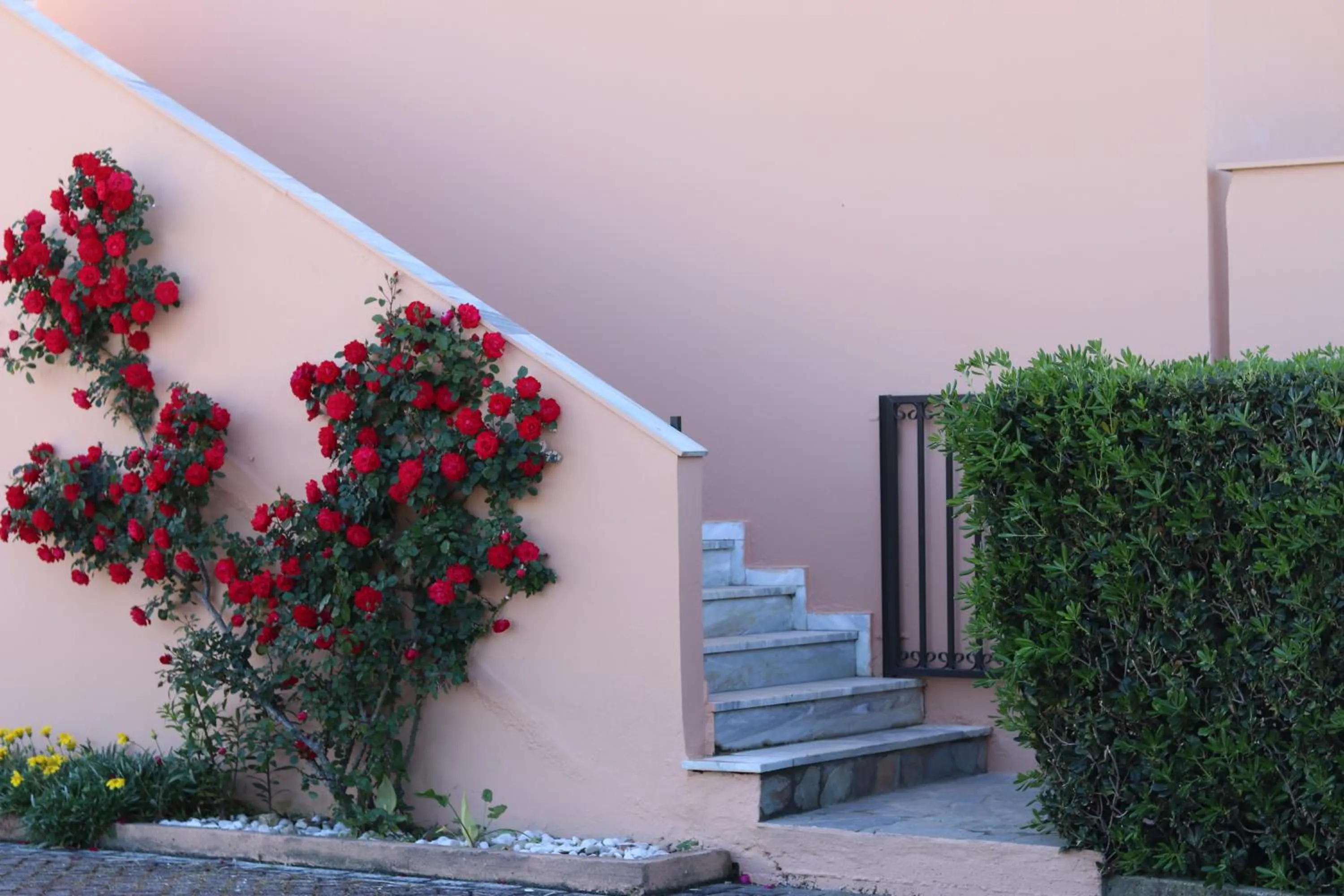 Garden in Pegasus Hotel