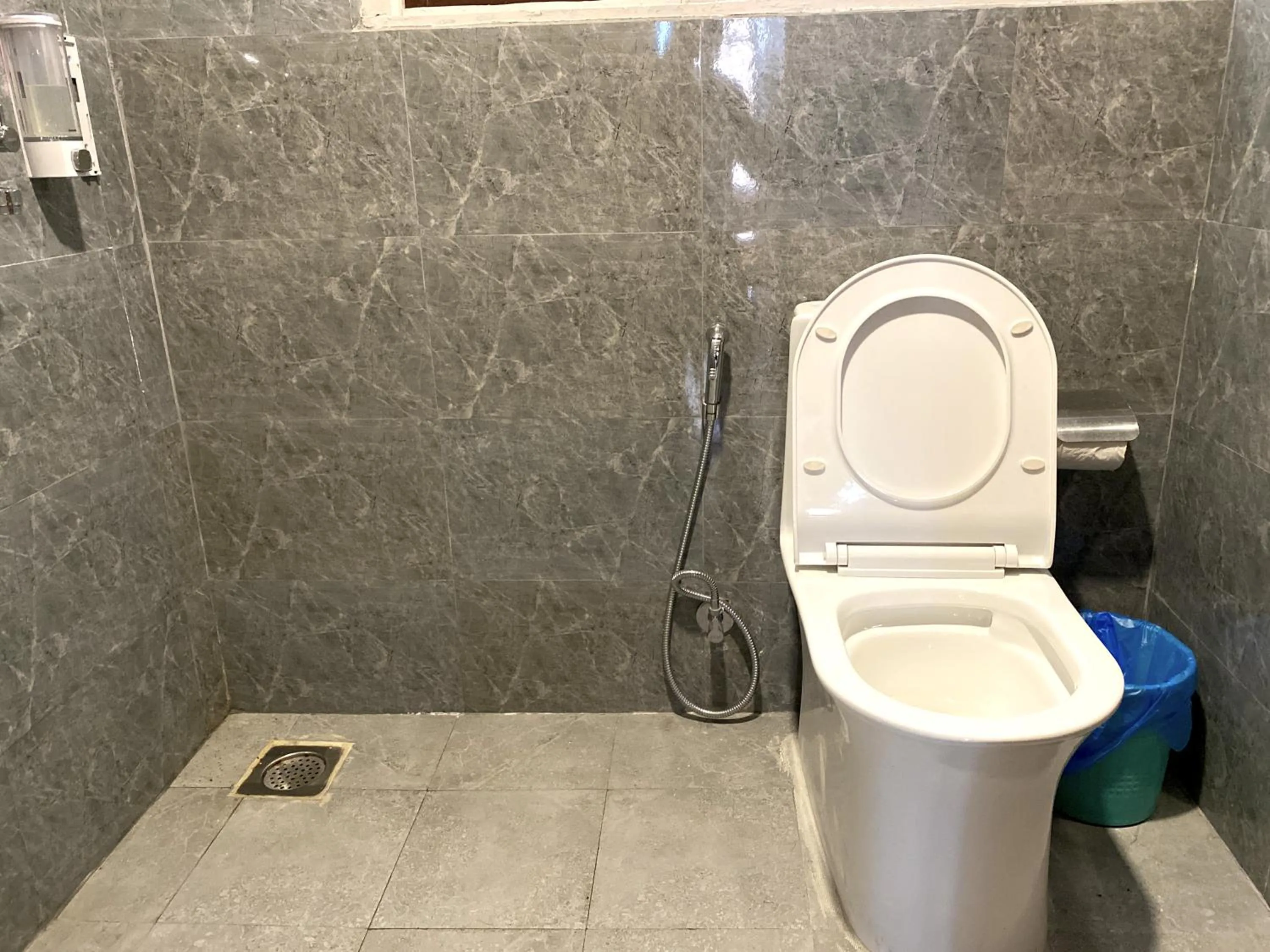 Toilet in Hotel Pala