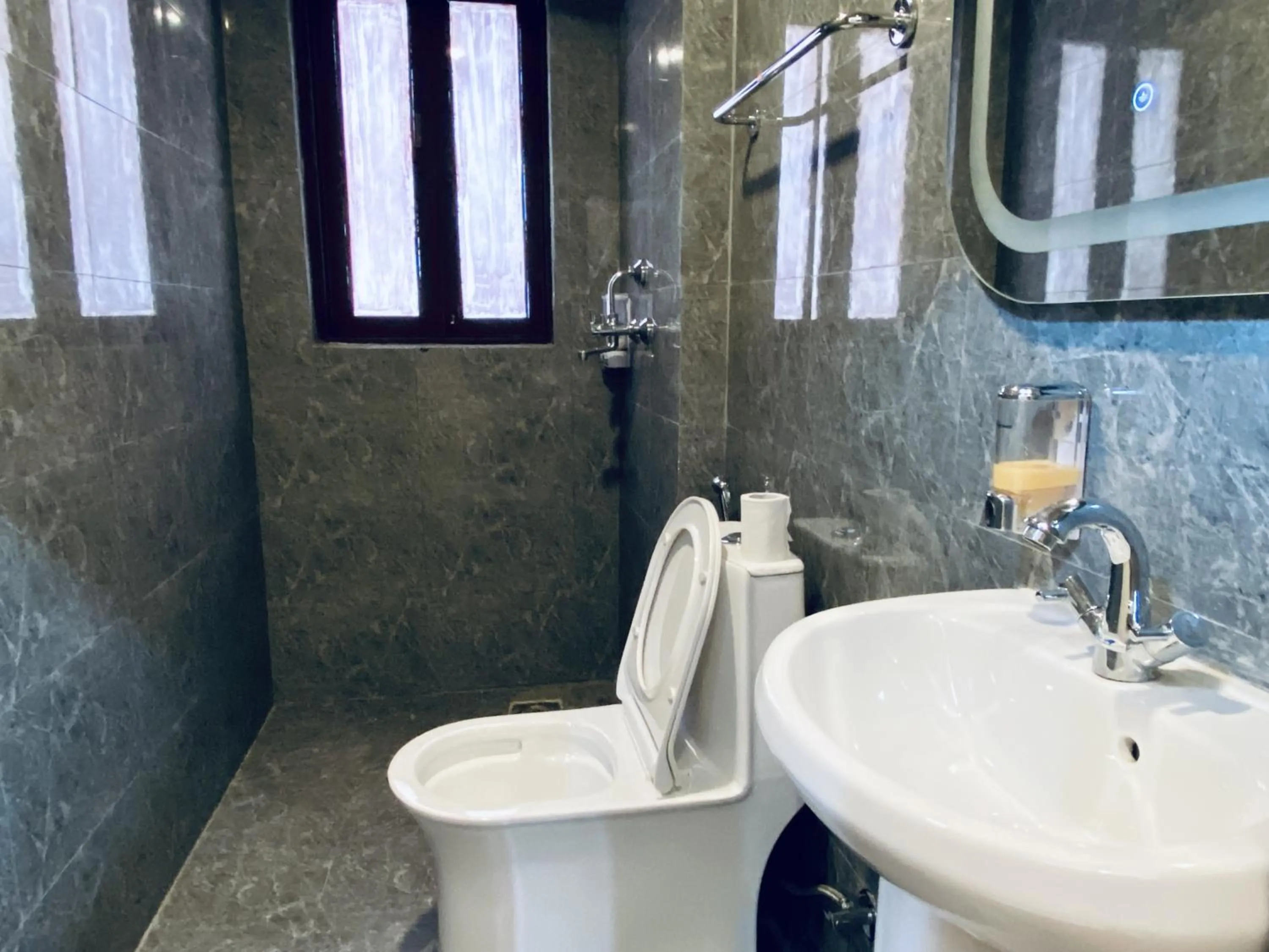 Toilet in Hotel Pala