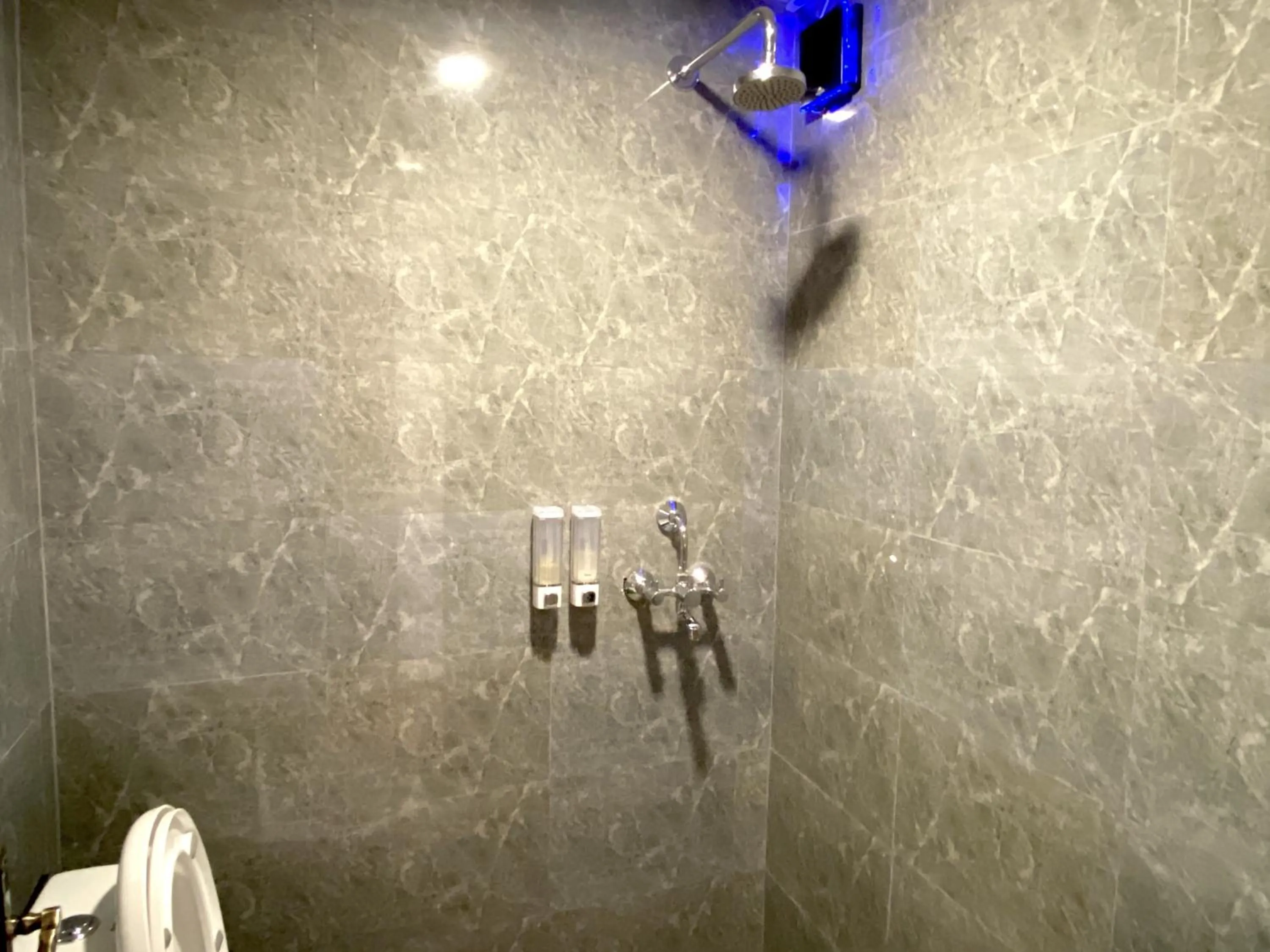 Shower in Hotel Pala