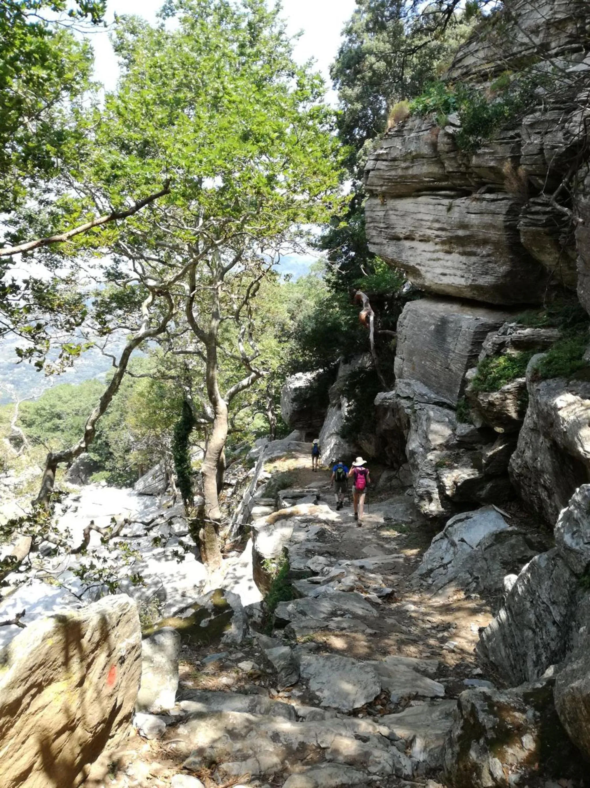 Natural landscape in Gikas Apartments Triple Studio Sea View B7