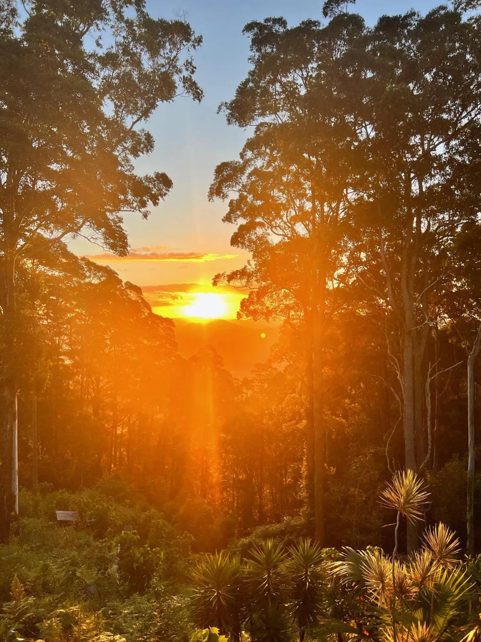 Natural landscape in House of Mahalo Accommodation