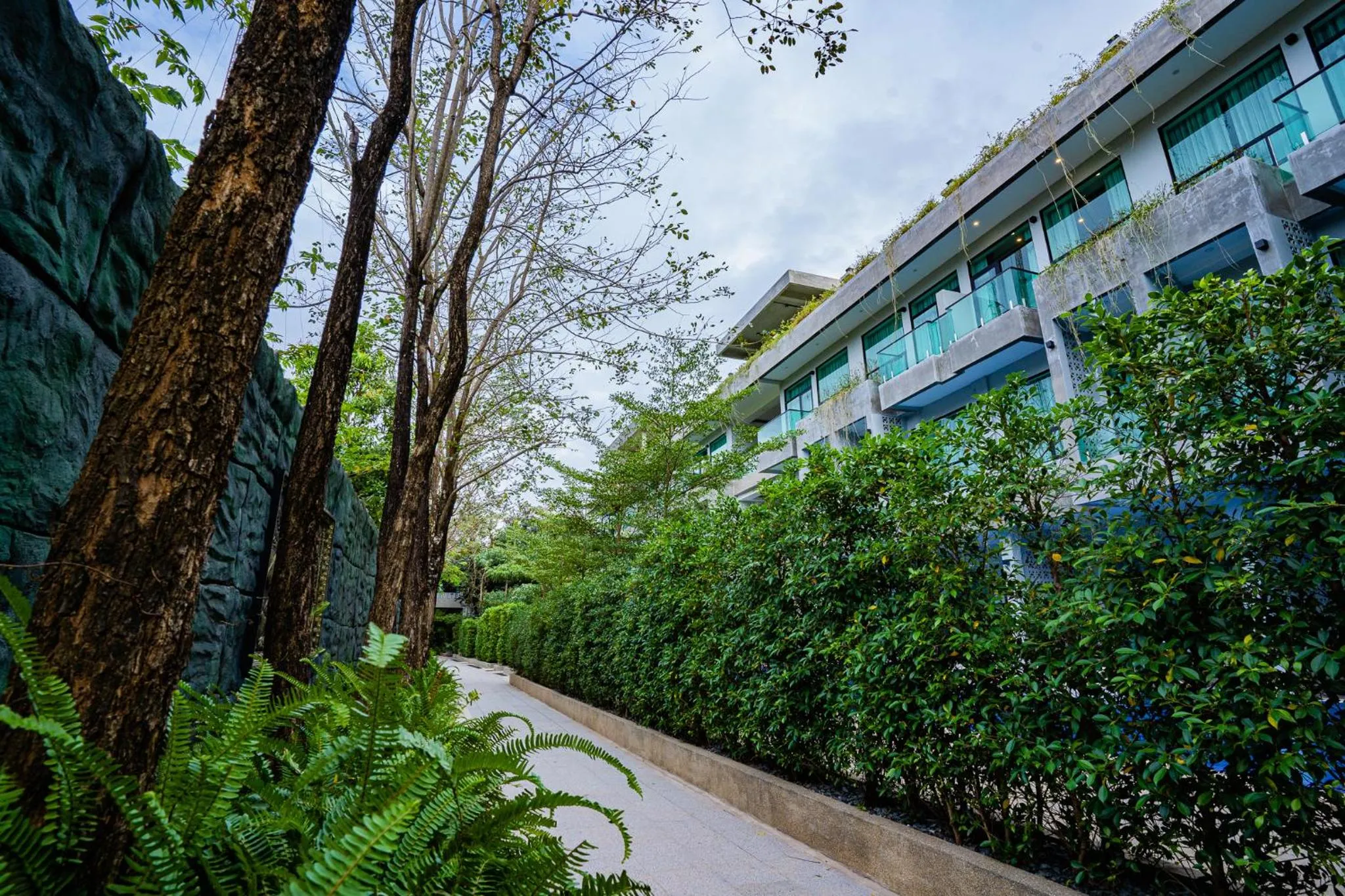 Day in Rainforest Hotel by NSUN