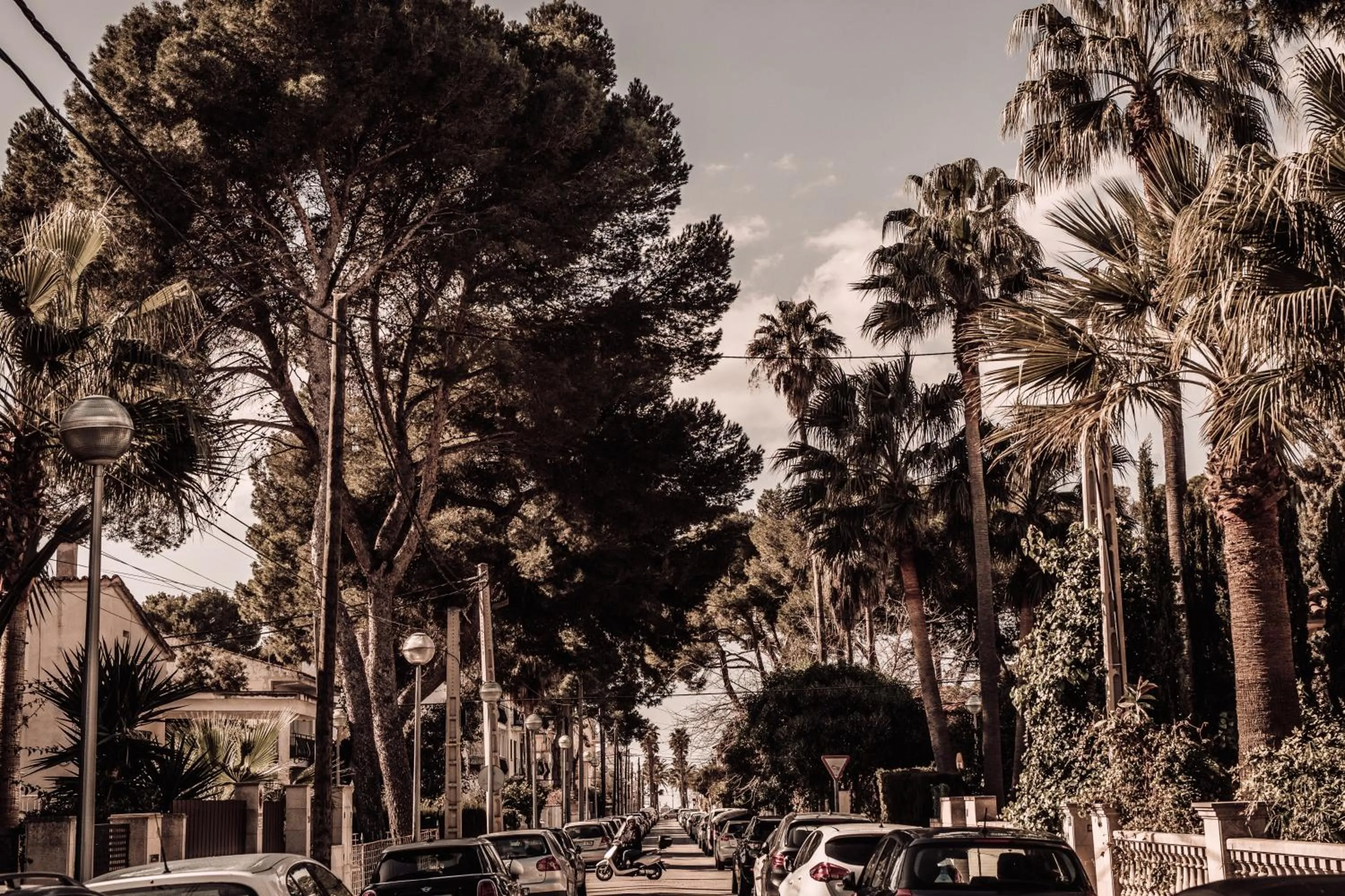 View (from property/room) in Caramelo Palma Beach