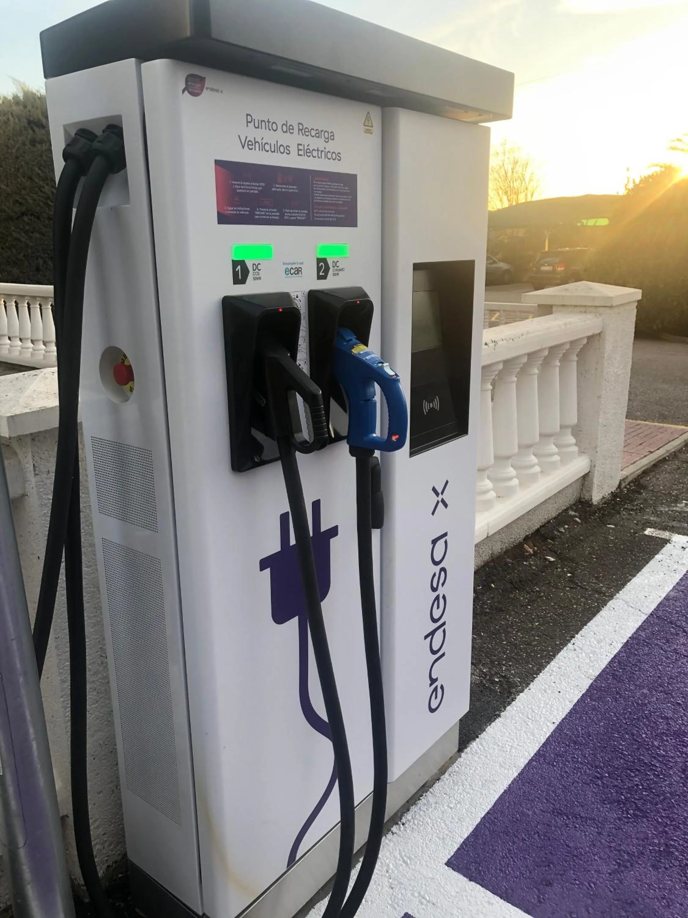 Area and facilities in Felix Hotel